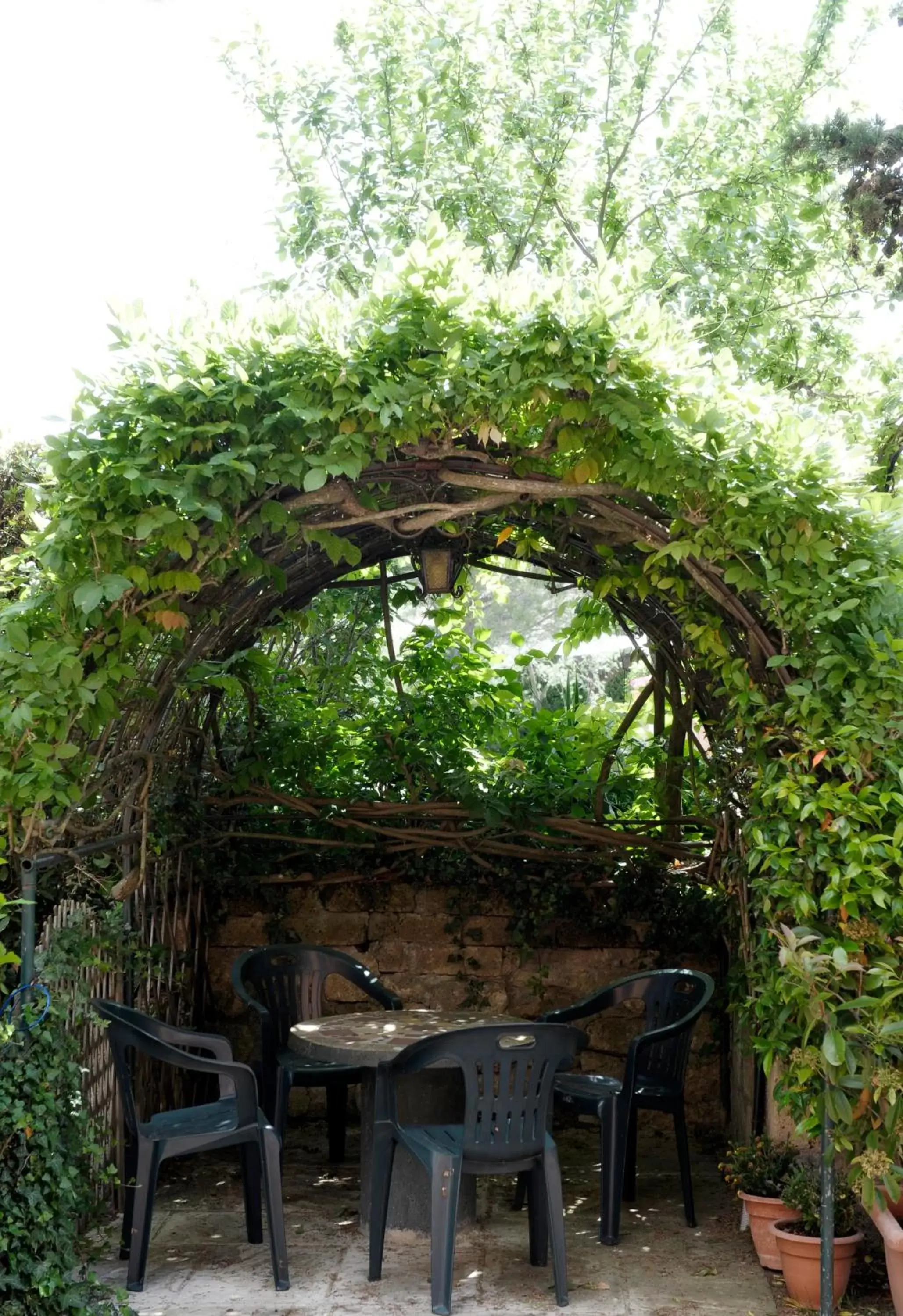 Garden in Hotel Villa Belvedere