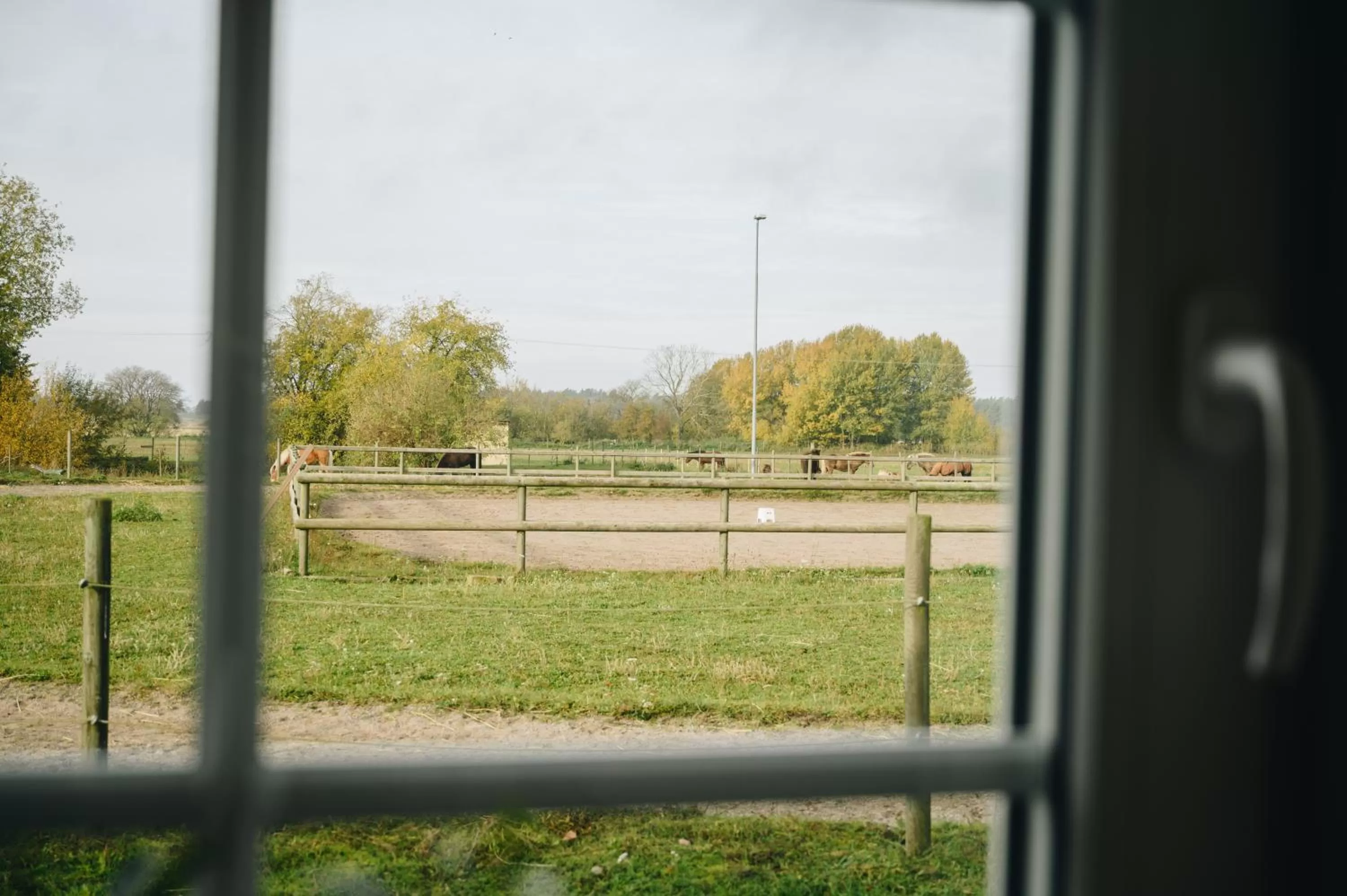 Natural landscape in Ölands Yoga Studio & Islandshästar, Stugor & Rum