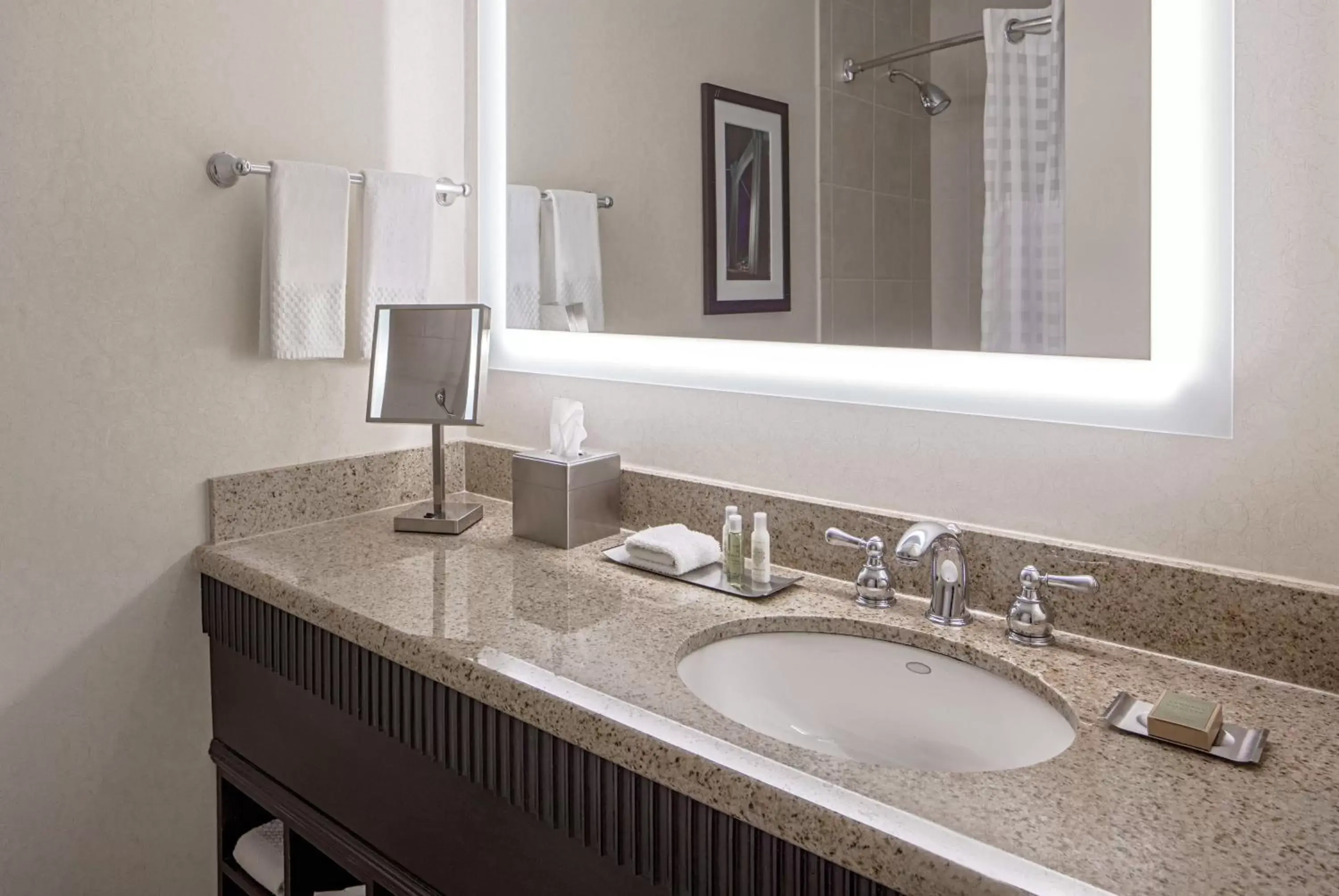 Bathroom in DoubleTree Suites by Hilton Minneapolis Downtown