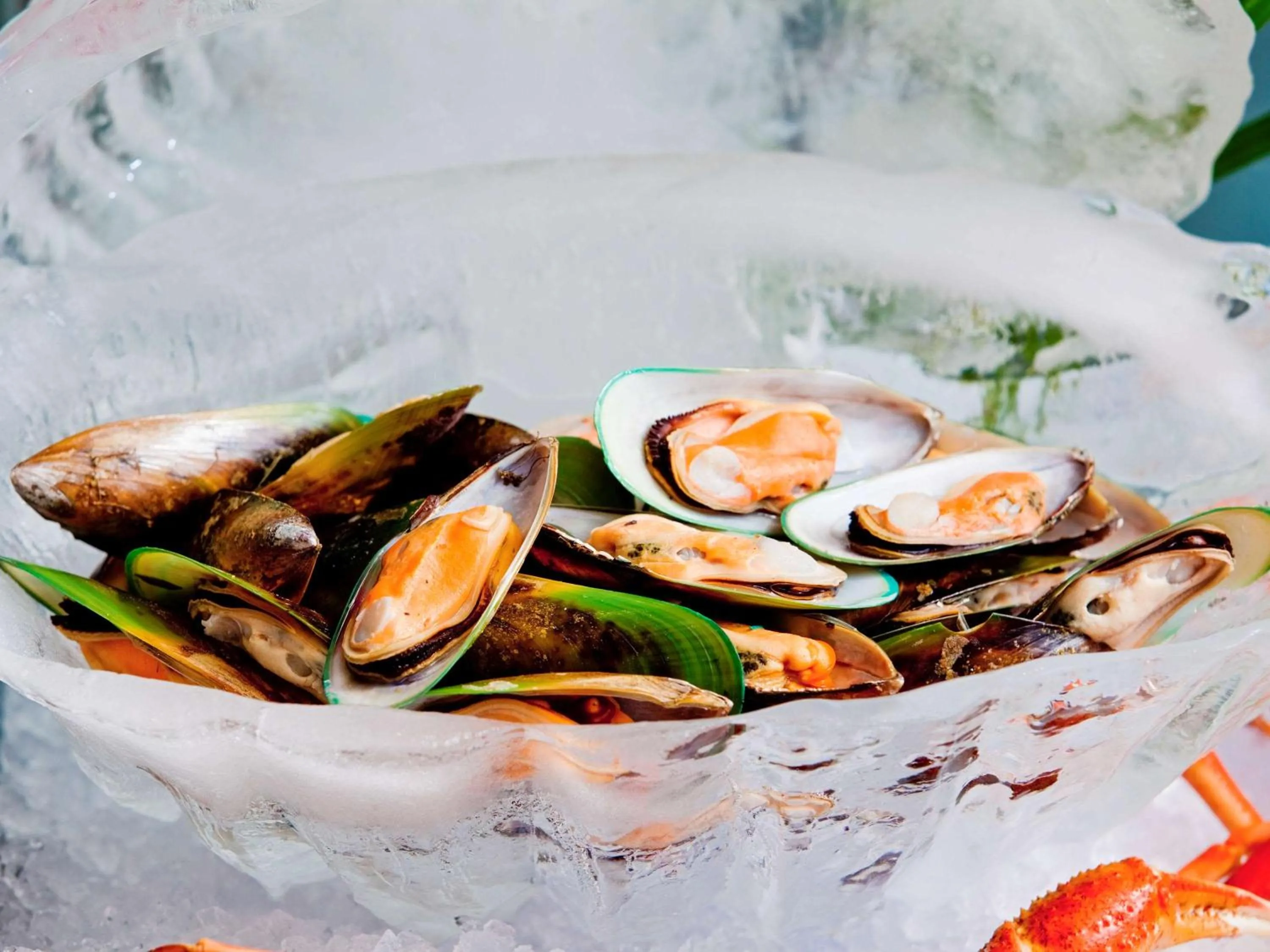 Restaurant/places to eat in Fairmont Yangcheng Lake