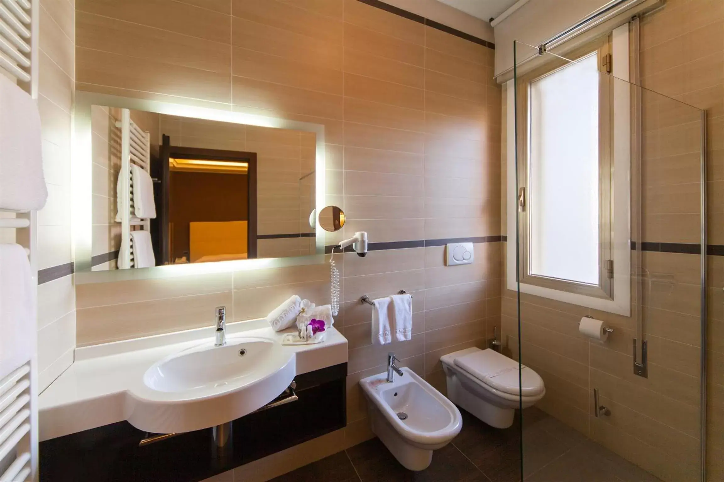 Bathroom in Hotel Terme Olympia