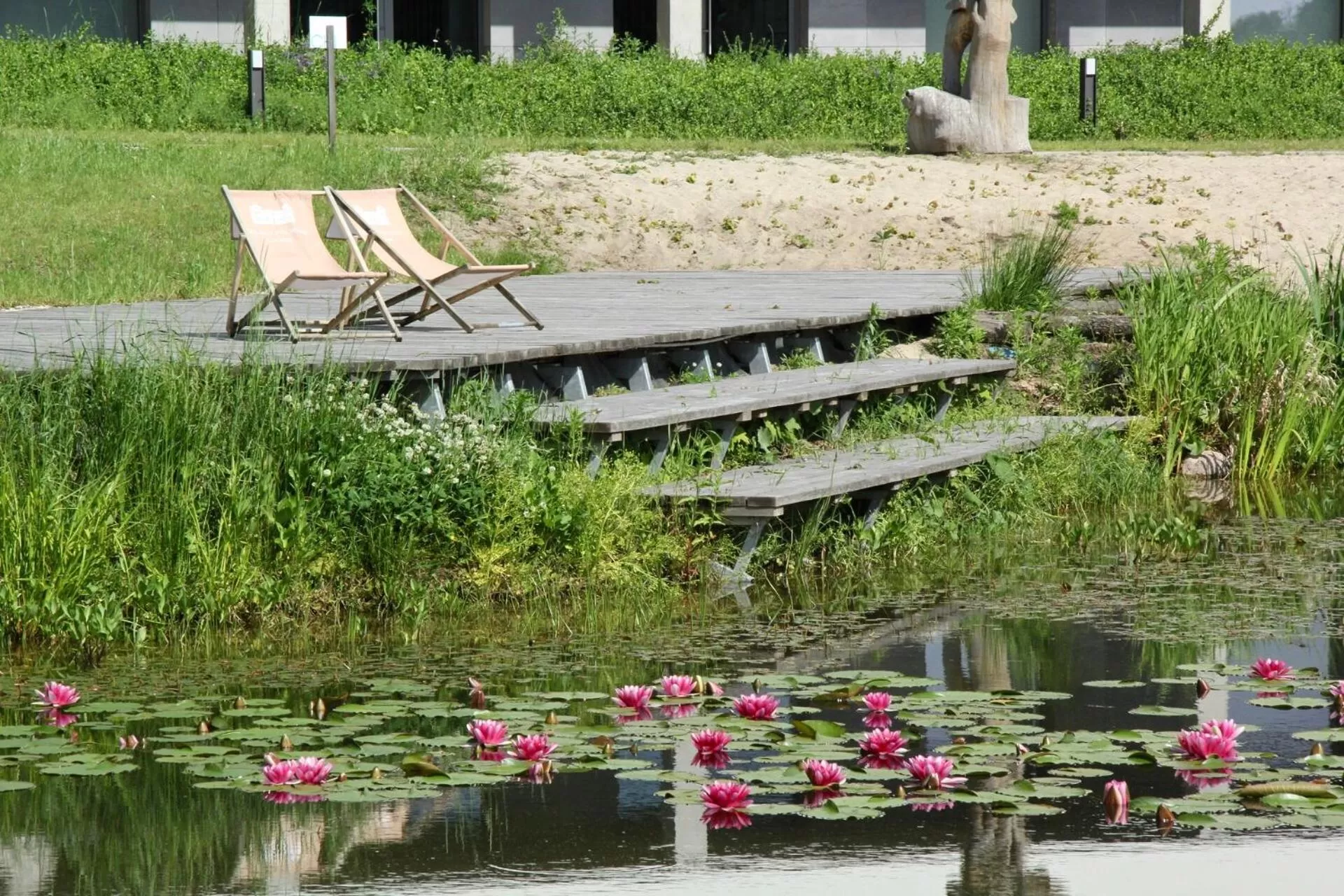 Windsurfing in Folwark Łochów