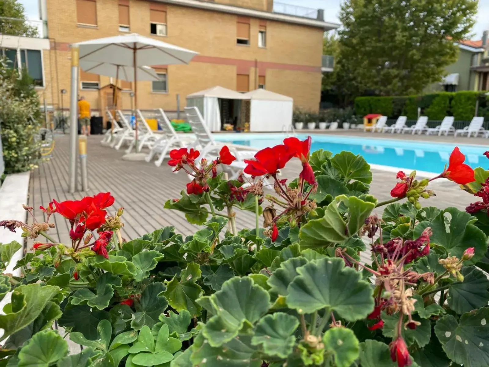 Pool view, Swimming Pool in Hotel St. Moritz