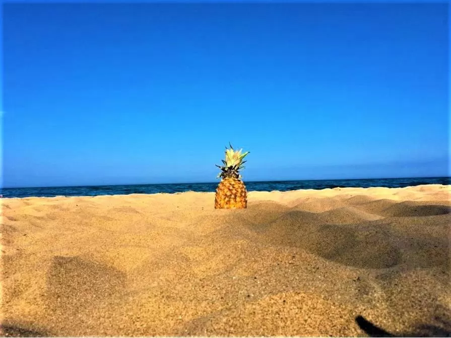Day, Beach in Gold Coast Family Cottages