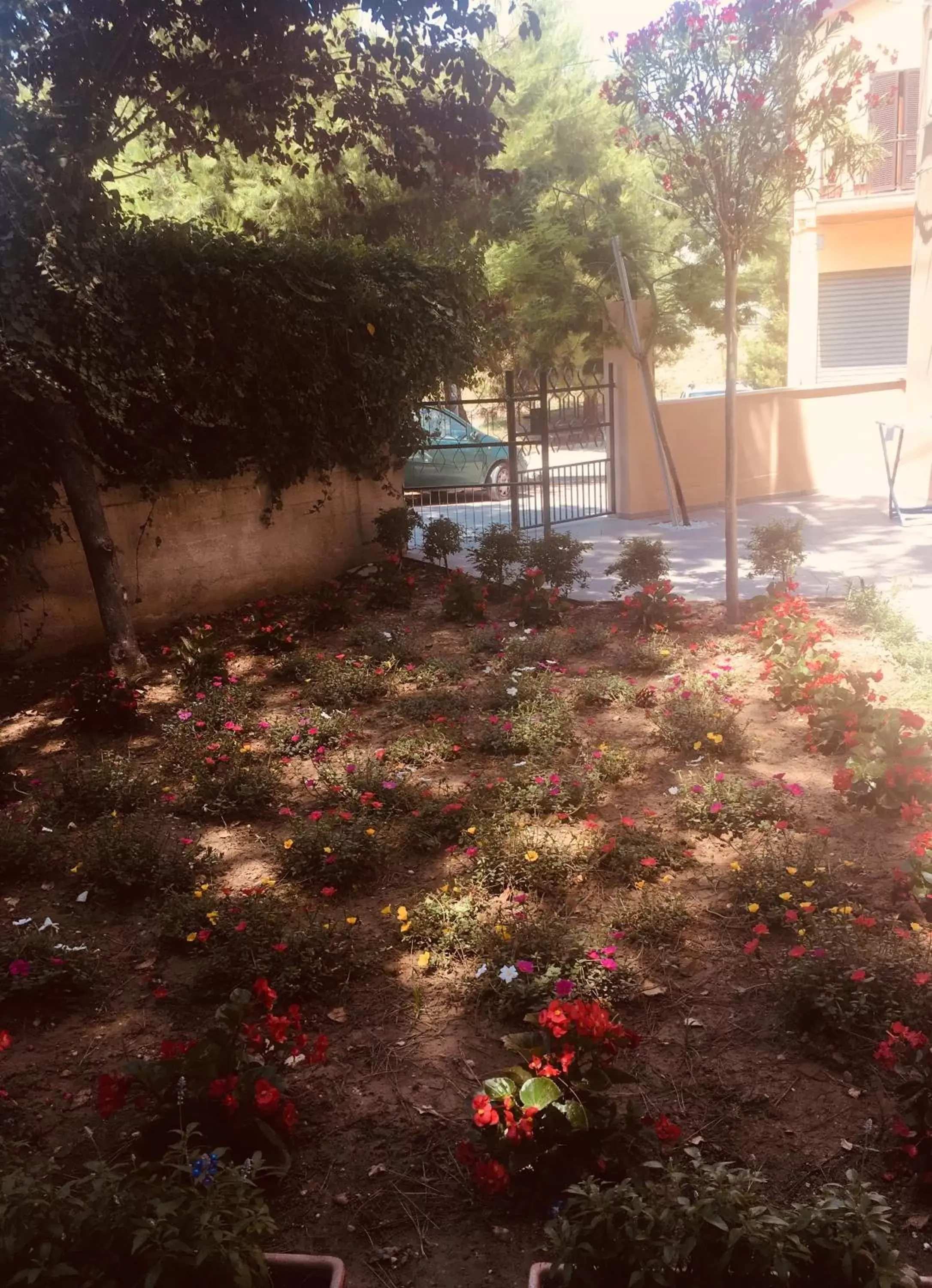 Garden in La casa di nonno Giulio