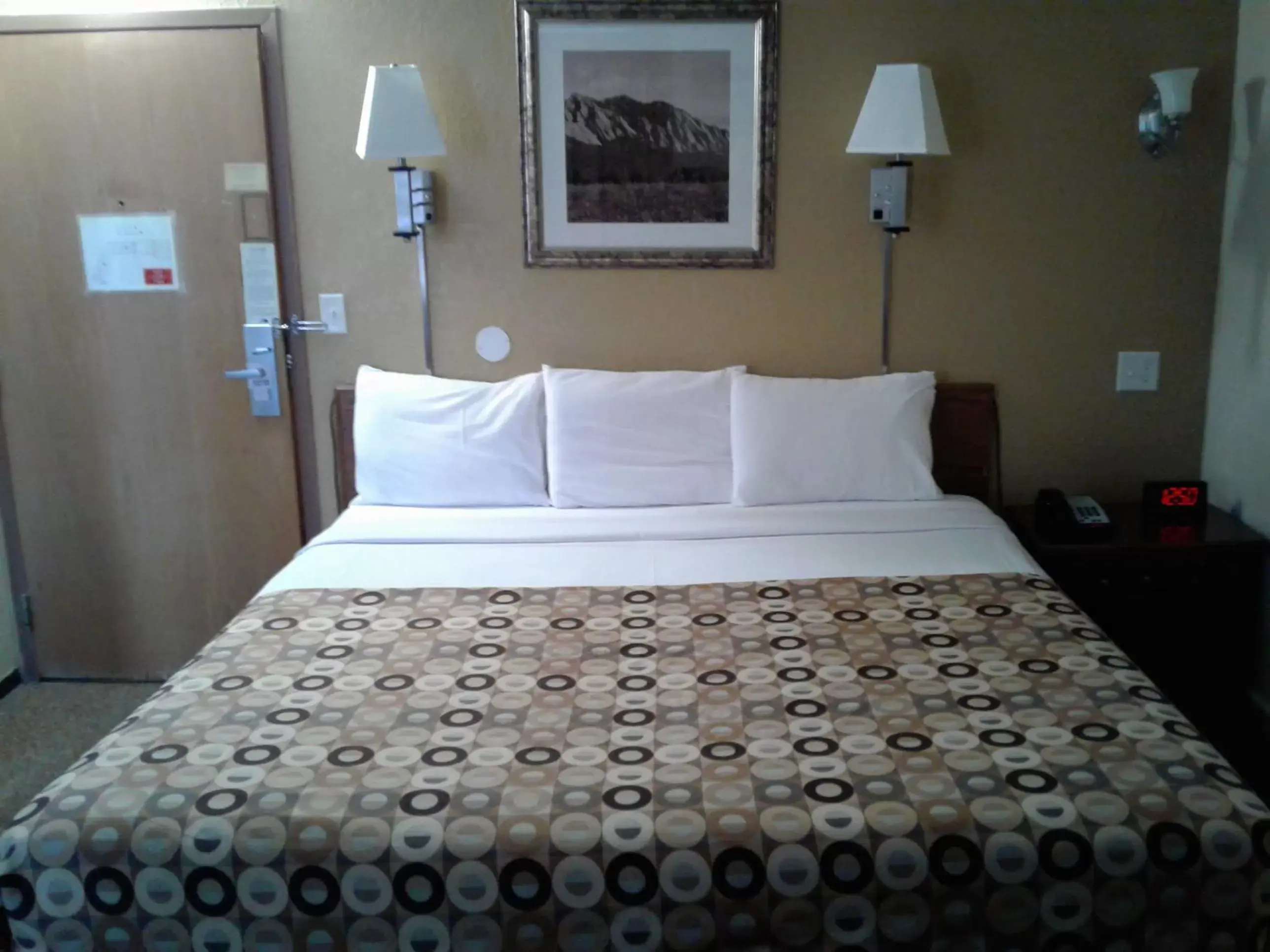 Photo of the whole room, Bed in Red Carpet Inn Rochester