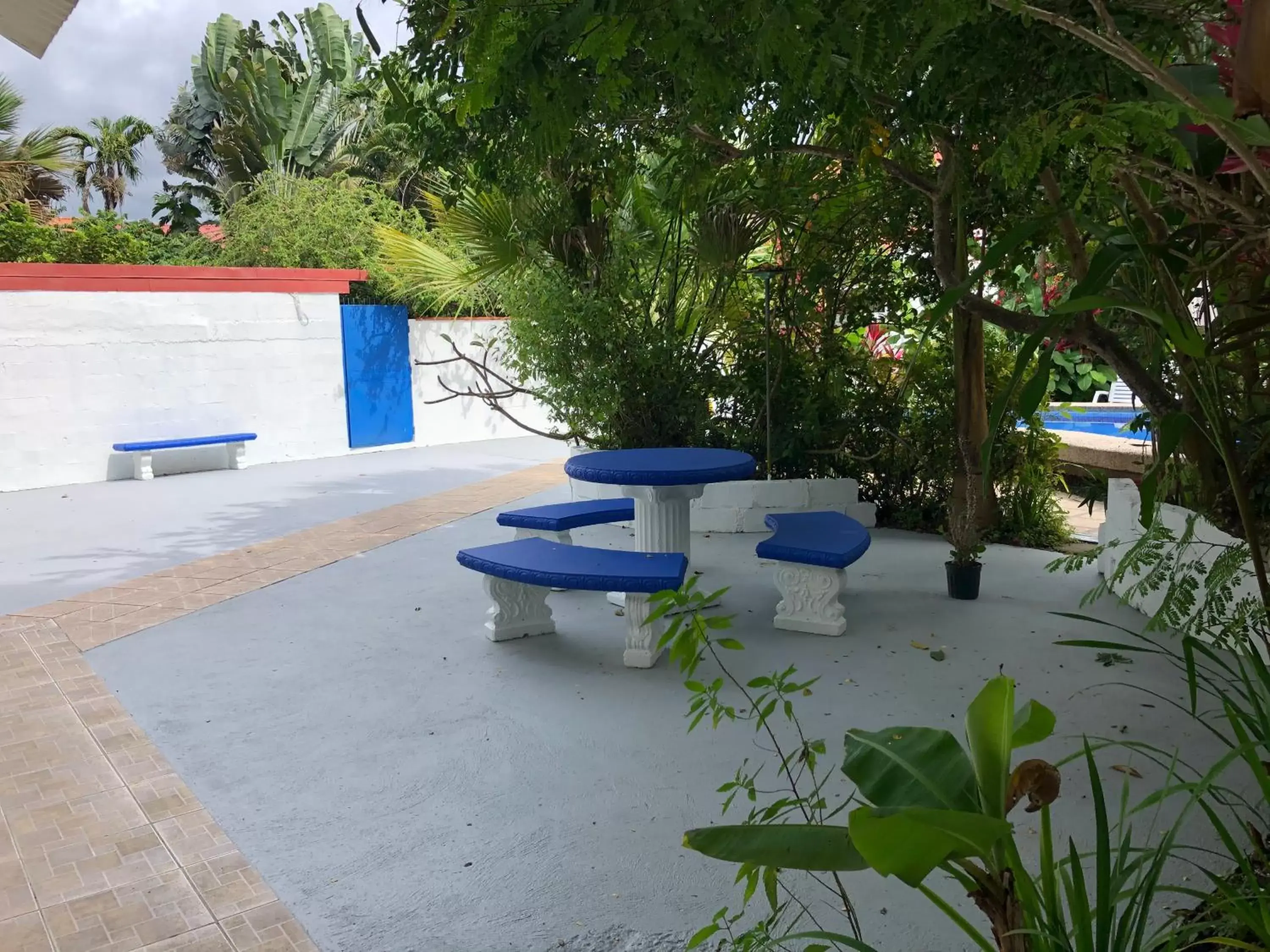 Garden, Swimming Pool in La Perlita