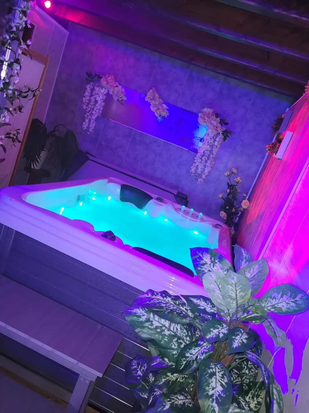 Hot Tub in A l'Orée du Parc