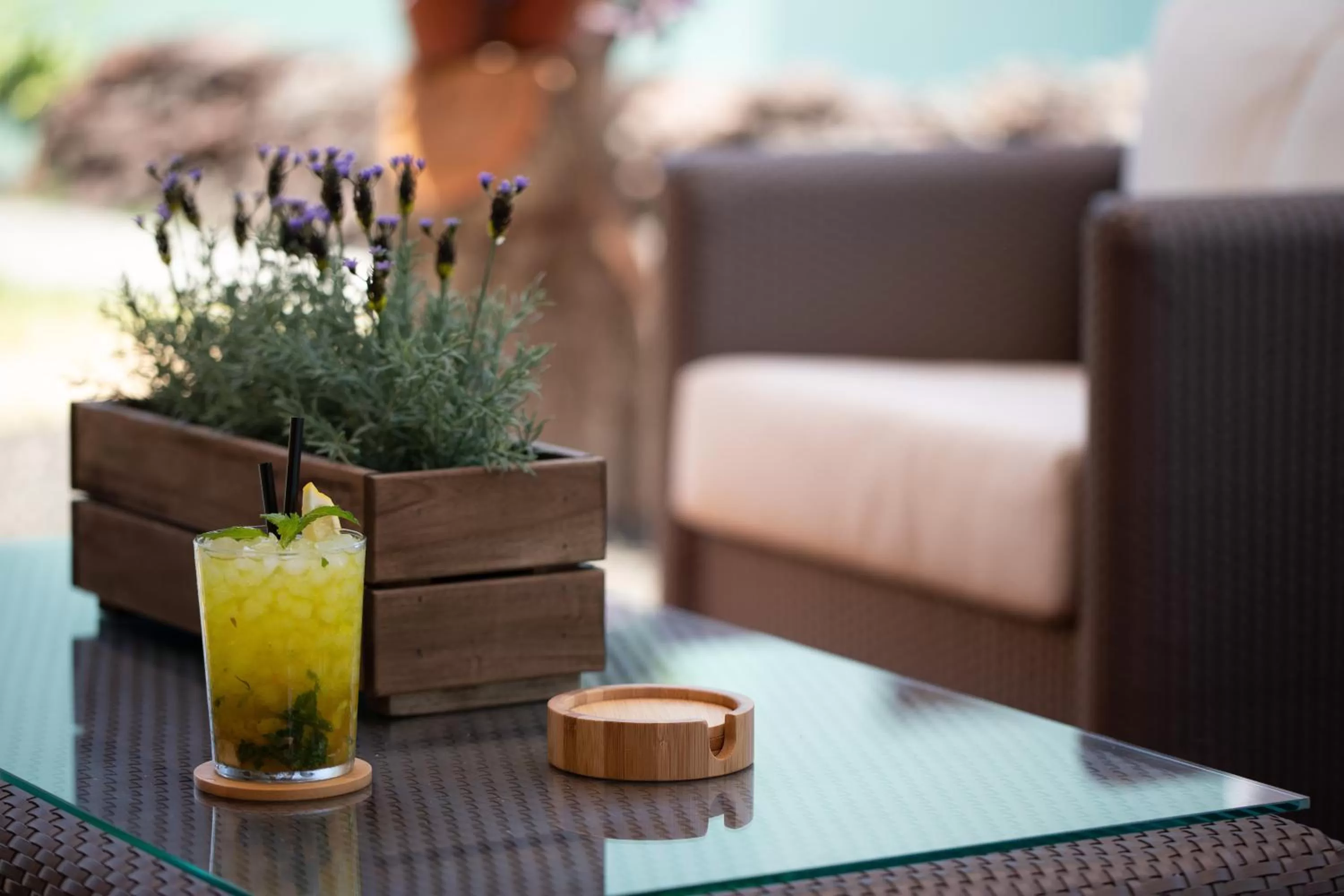 Entertainment in Club Vista Serena