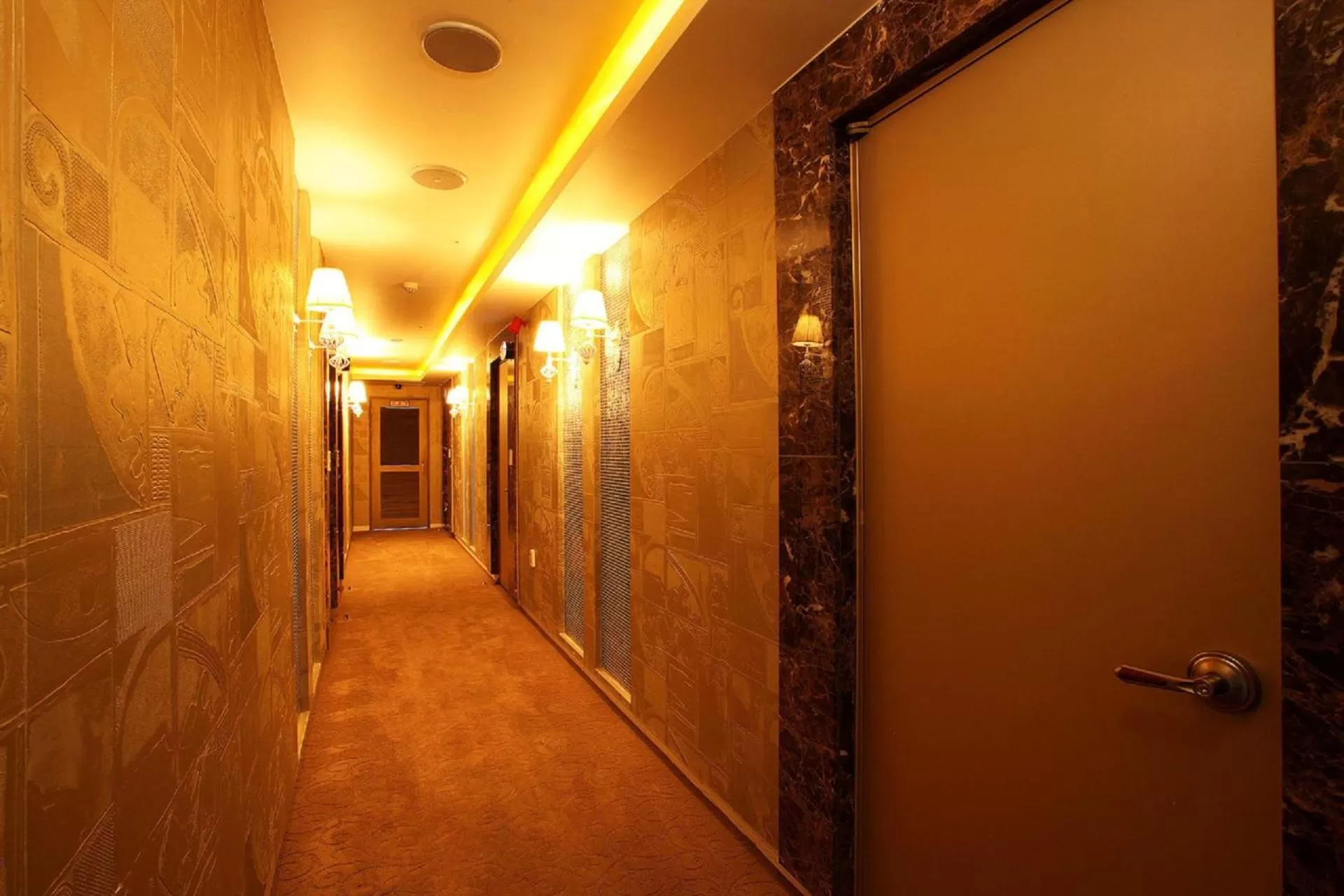 Area and facilities in Hotel Star Gangnam