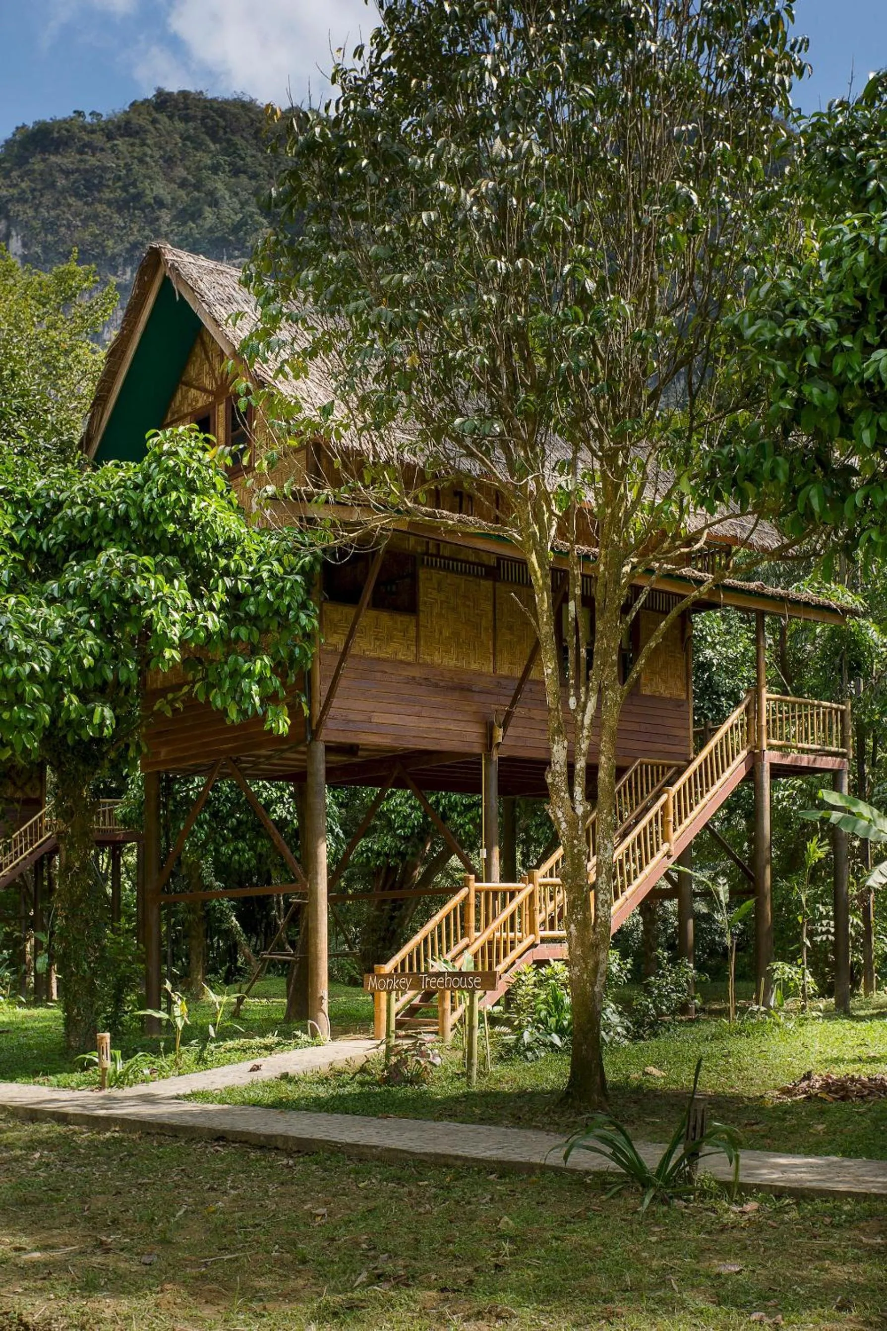 2 - Story Treehouse in Our Jungle Camp - Eco Resort