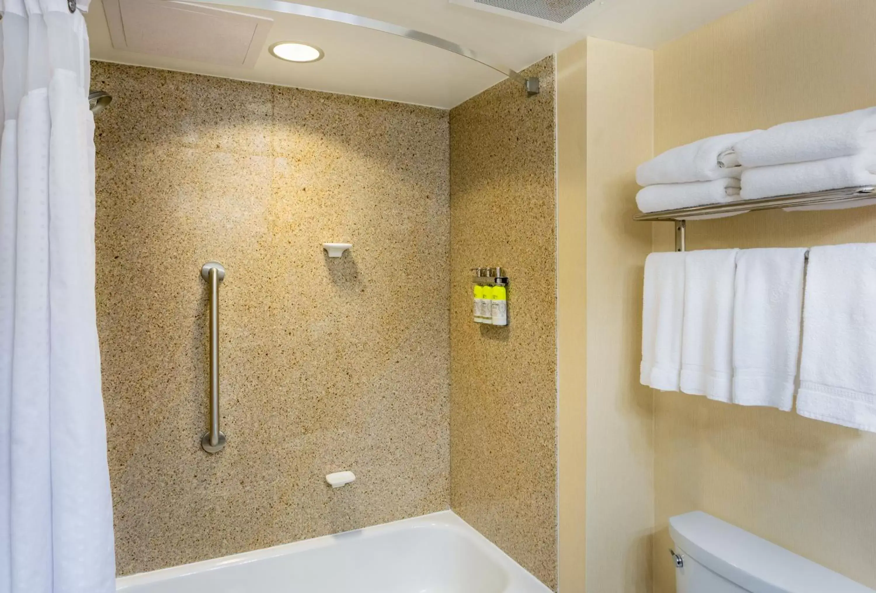 Bathroom in Holiday Inn Express & Suites Bradenton East-Lakewood Ranch, an IHG Hotel