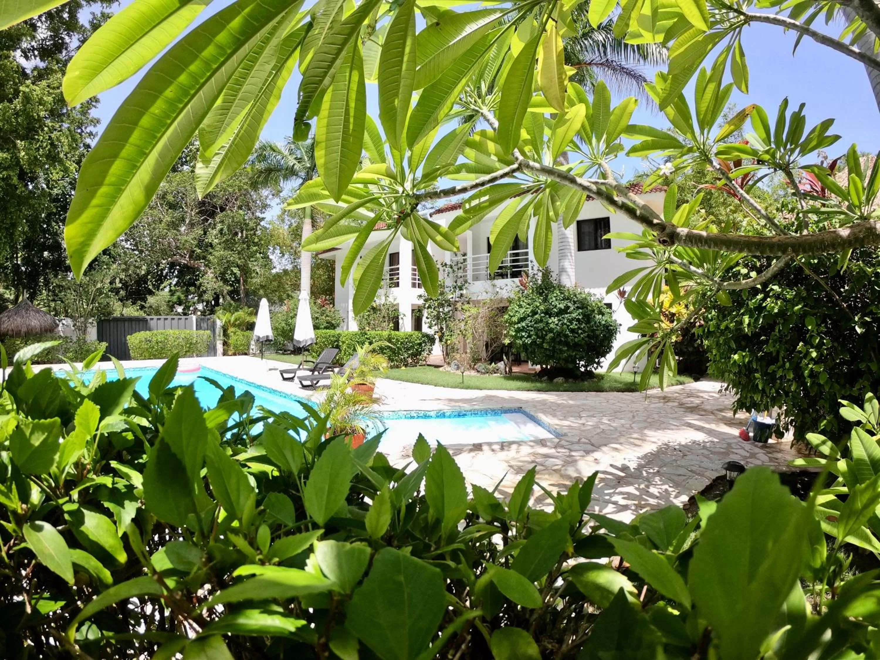 Garden in Coral Blanco Hotel