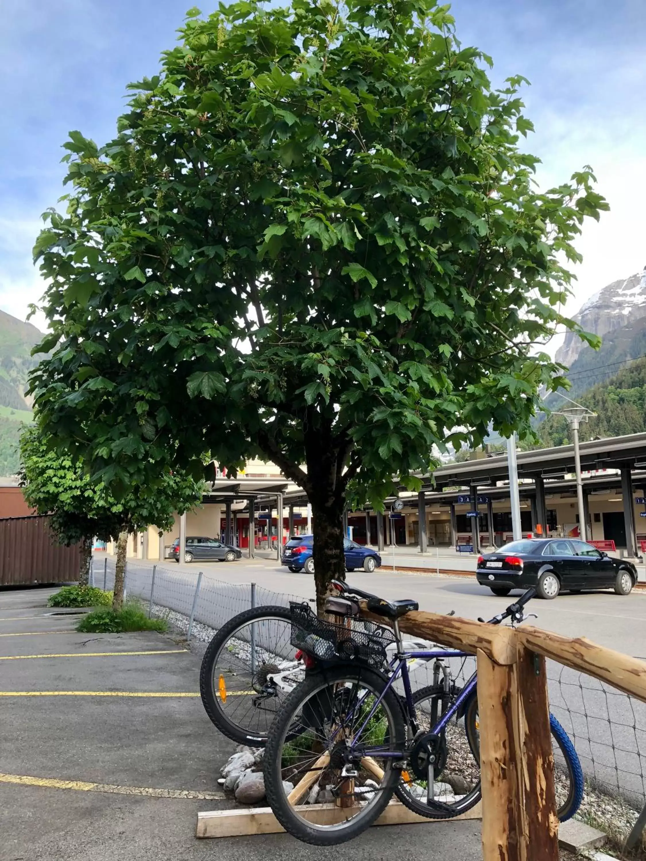 Cycling in Hotel Crystal