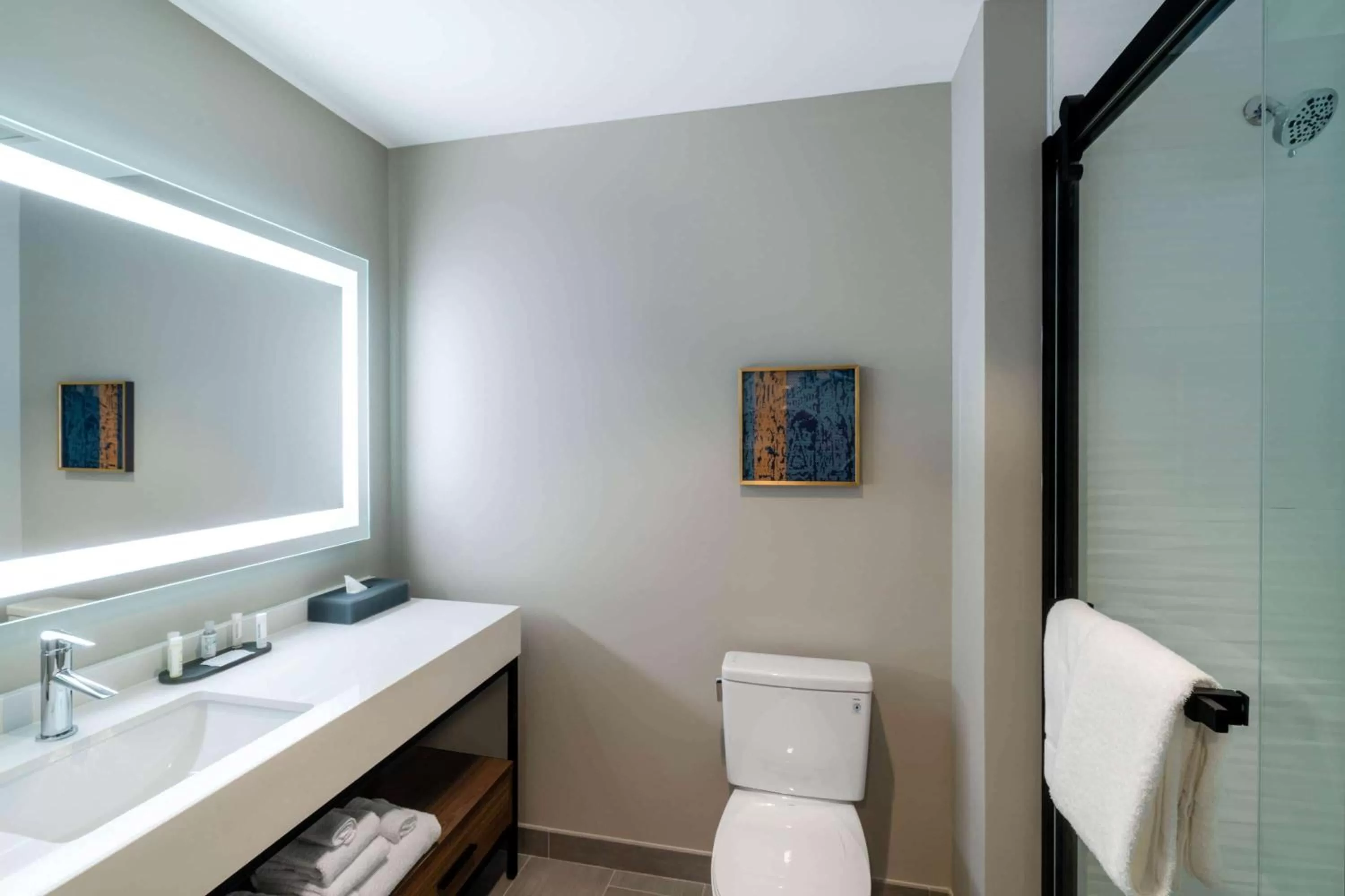 Bathroom in La Quinta Inn & Suites by Wyndham Nashville Downtown Stadium