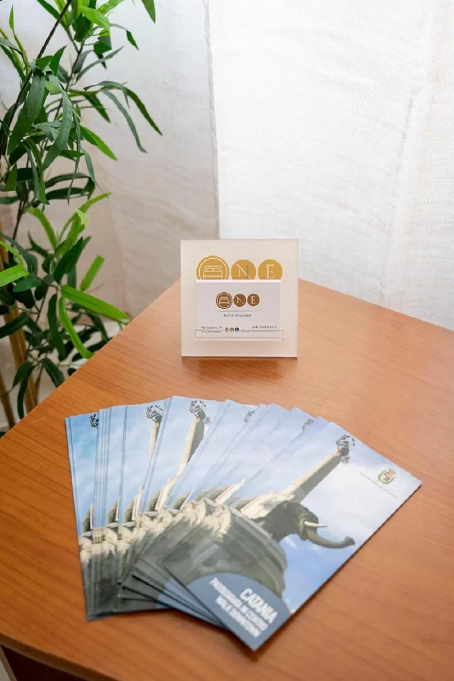 Lobby or reception in B&B ONE