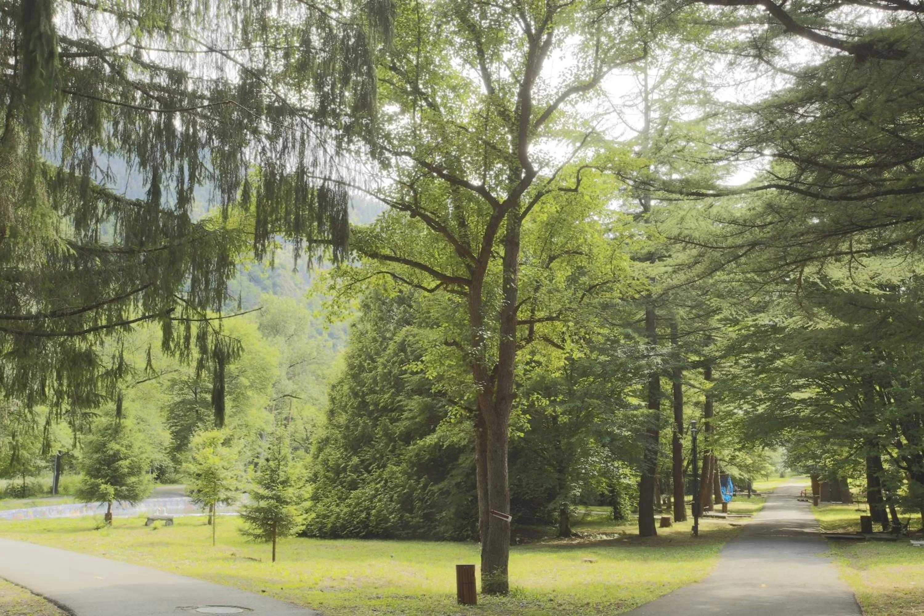 Garden in Borjomi Likani Health & Spa Centre