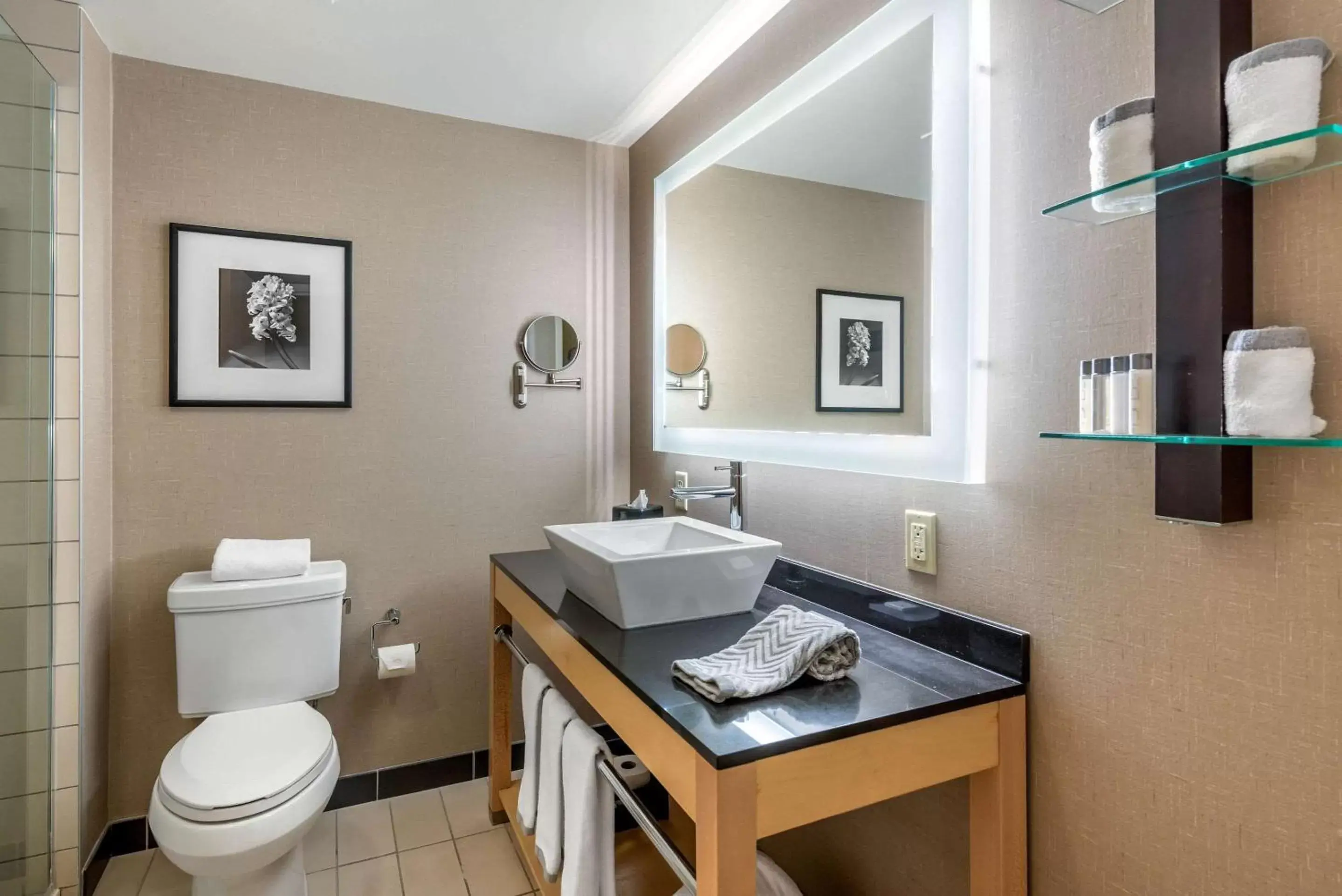 Bathroom in Cambria Hotel Akron - Canton Airport