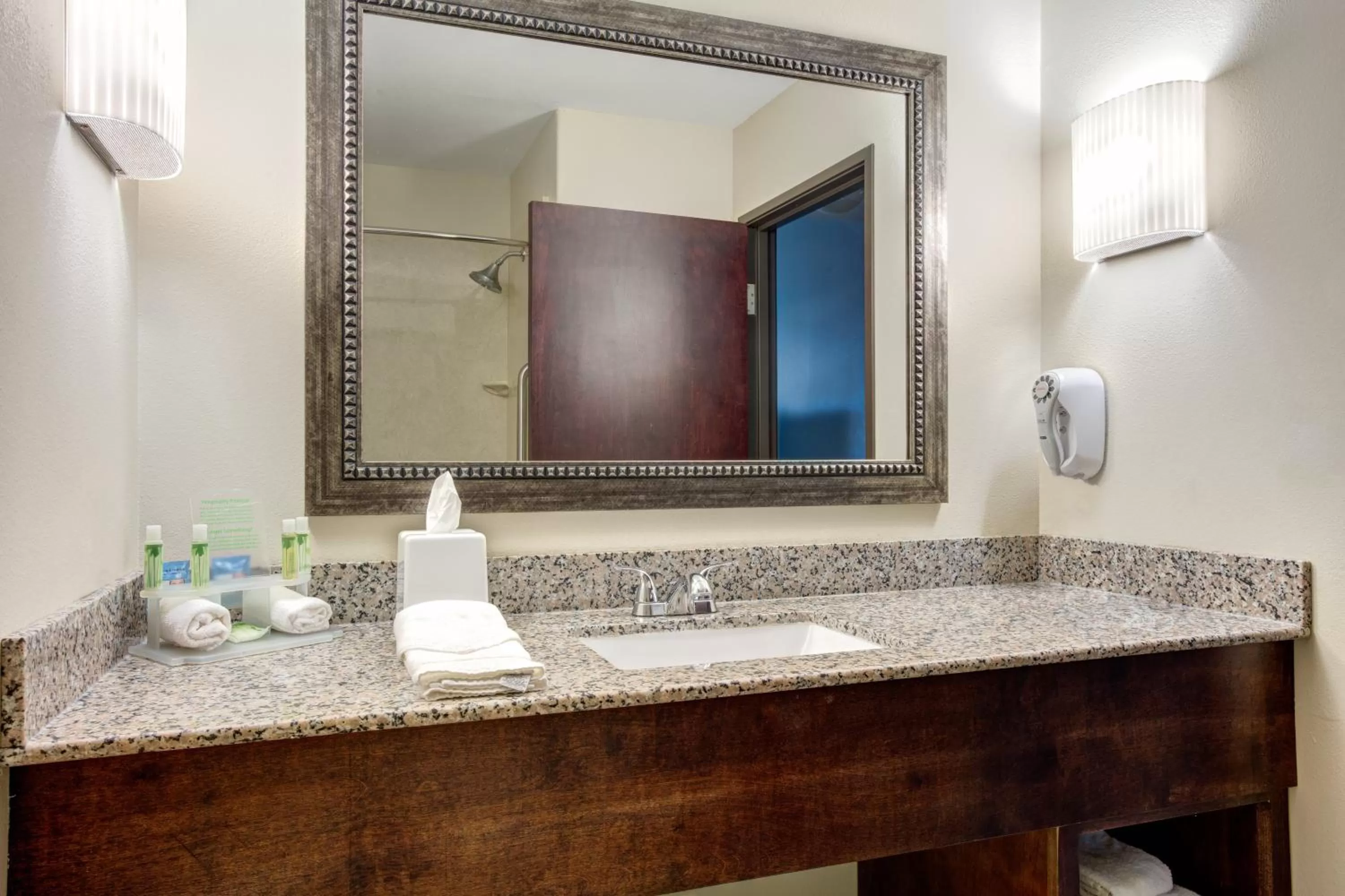 Bathroom in Holiday Inn Express & Suites Raceland - Highway 90 by IHG