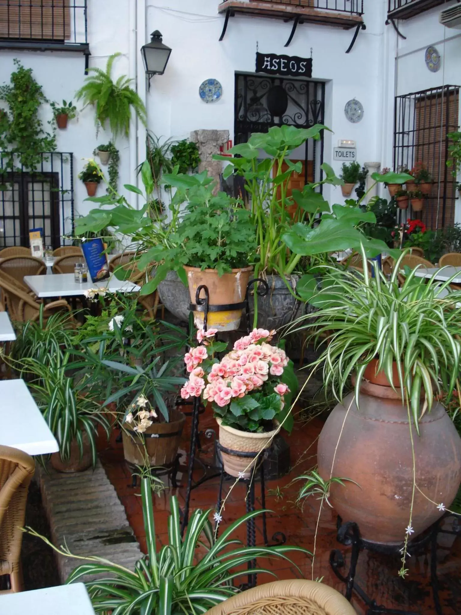 Patio in Los Patios