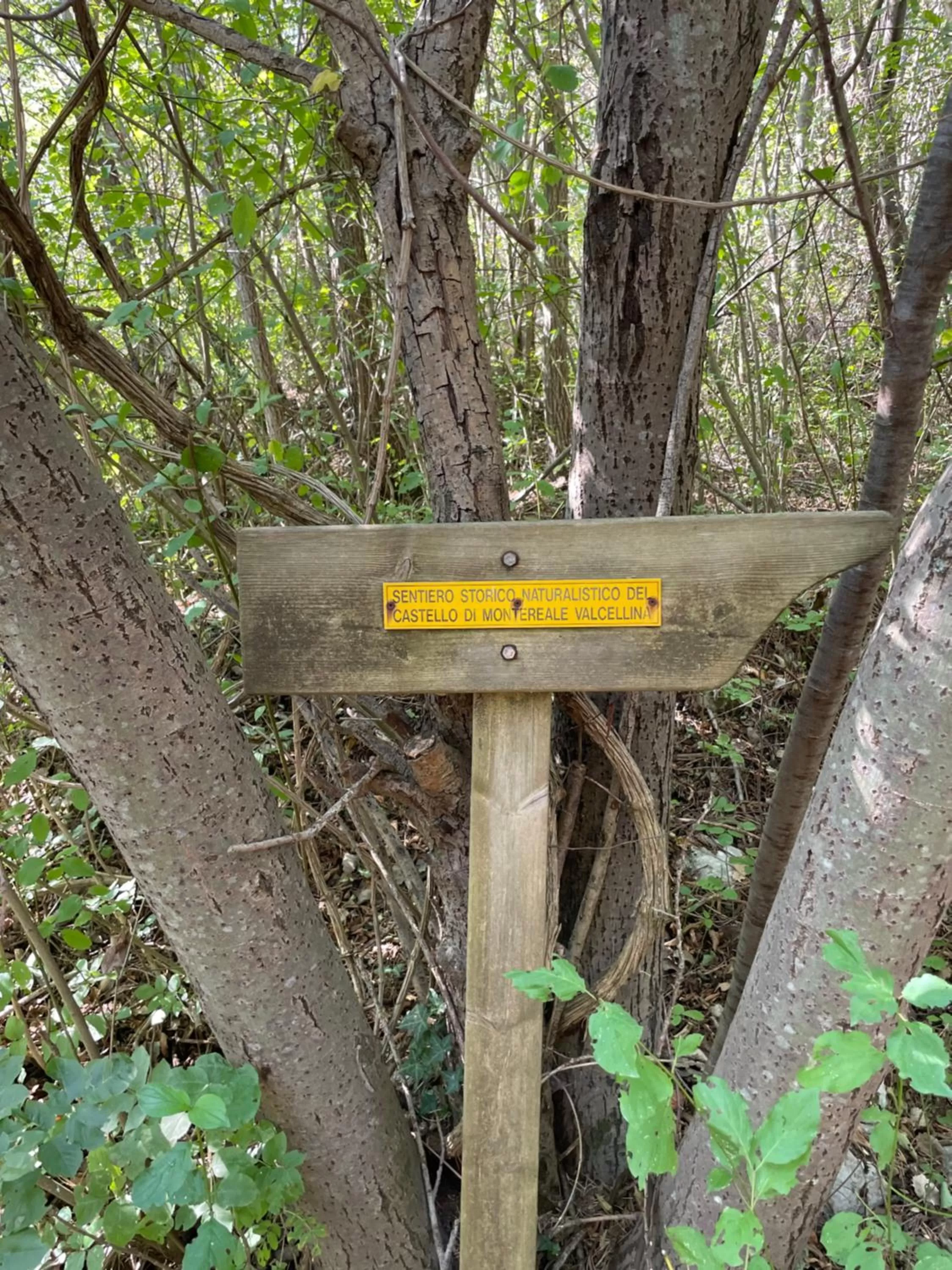 Casa Valcellina Hotel Ristorante