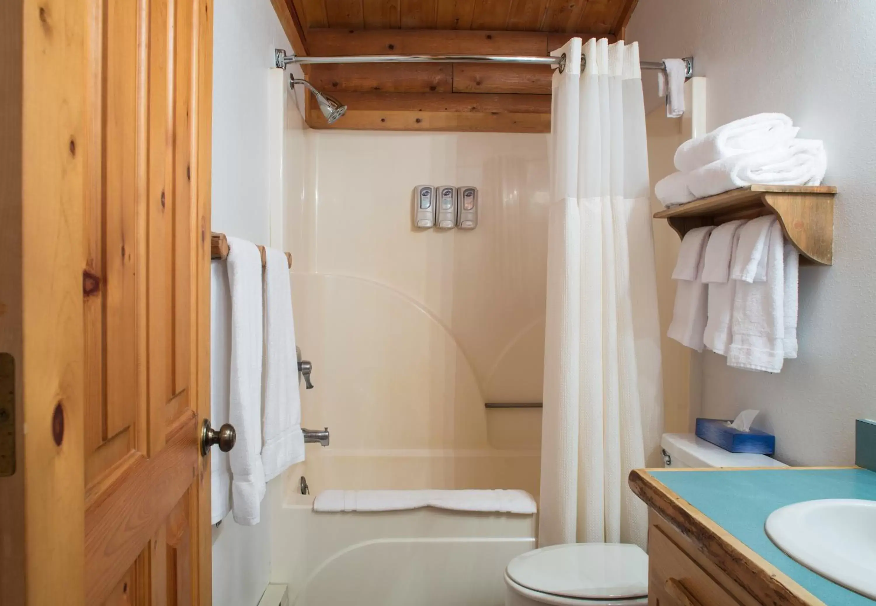 Shower, Bathroom in North Forty Resort