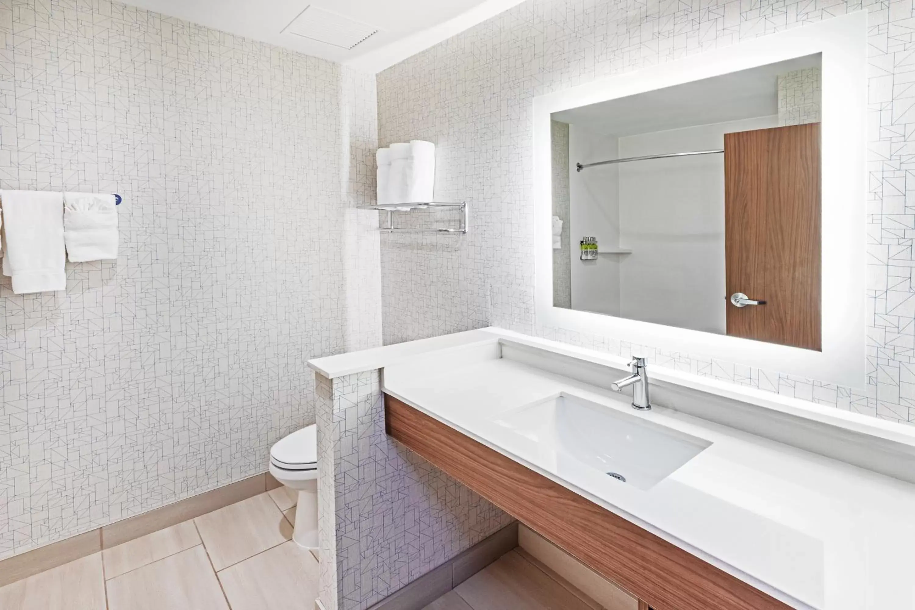 Toilet, Bathroom in Holiday Inn Express & Suites - Stafford NW - Sugar Land, an IHG Hotel