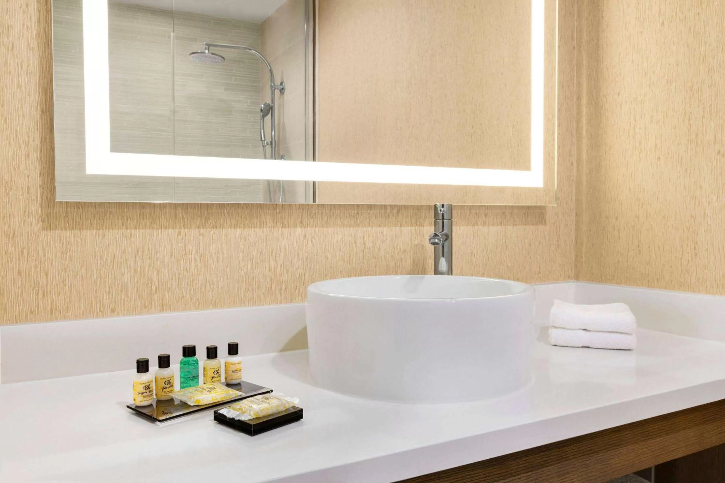 TV and multimedia in Wyndham Anaheim