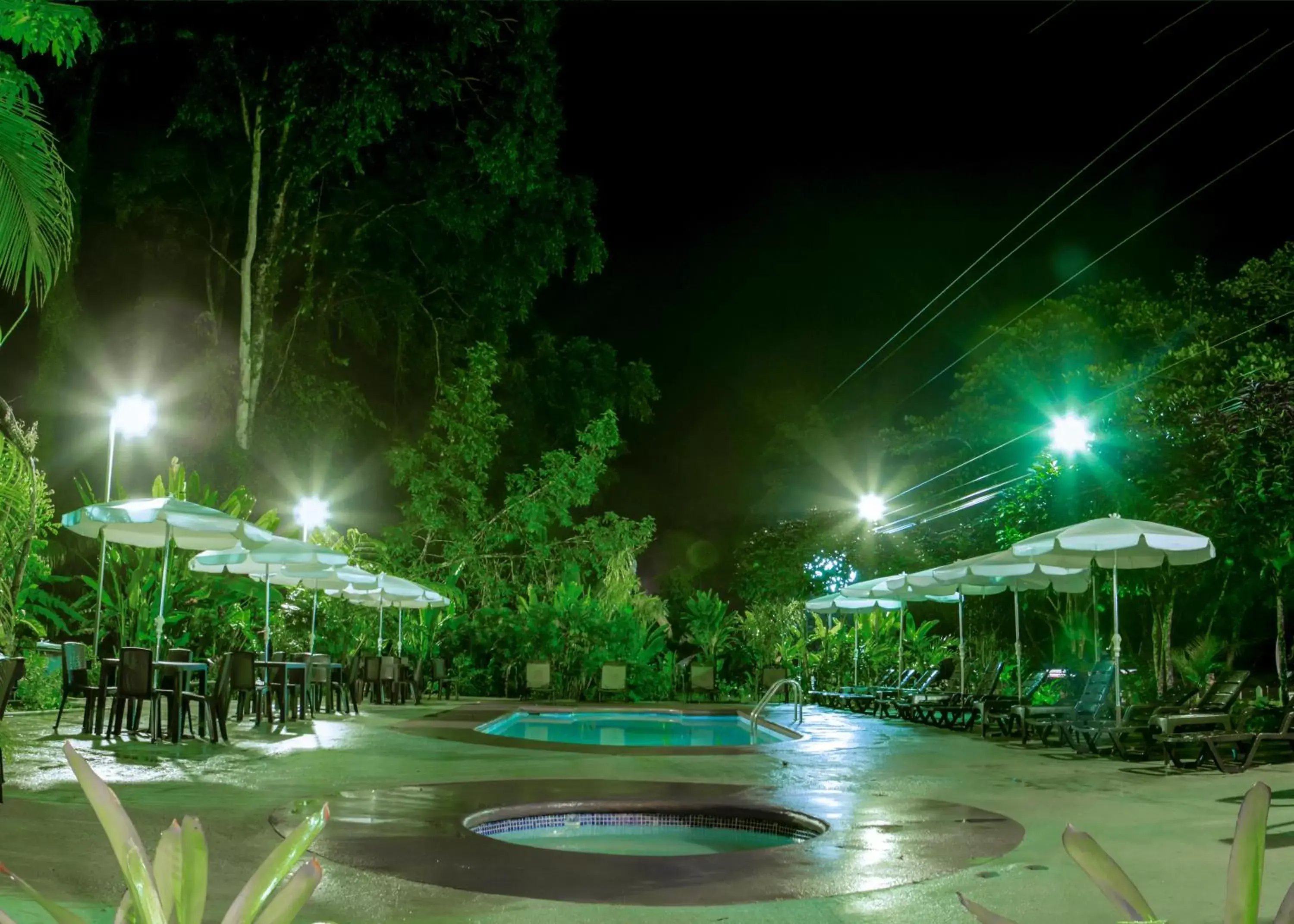 Swimming pool, Garden in Hotel La Isla Inn