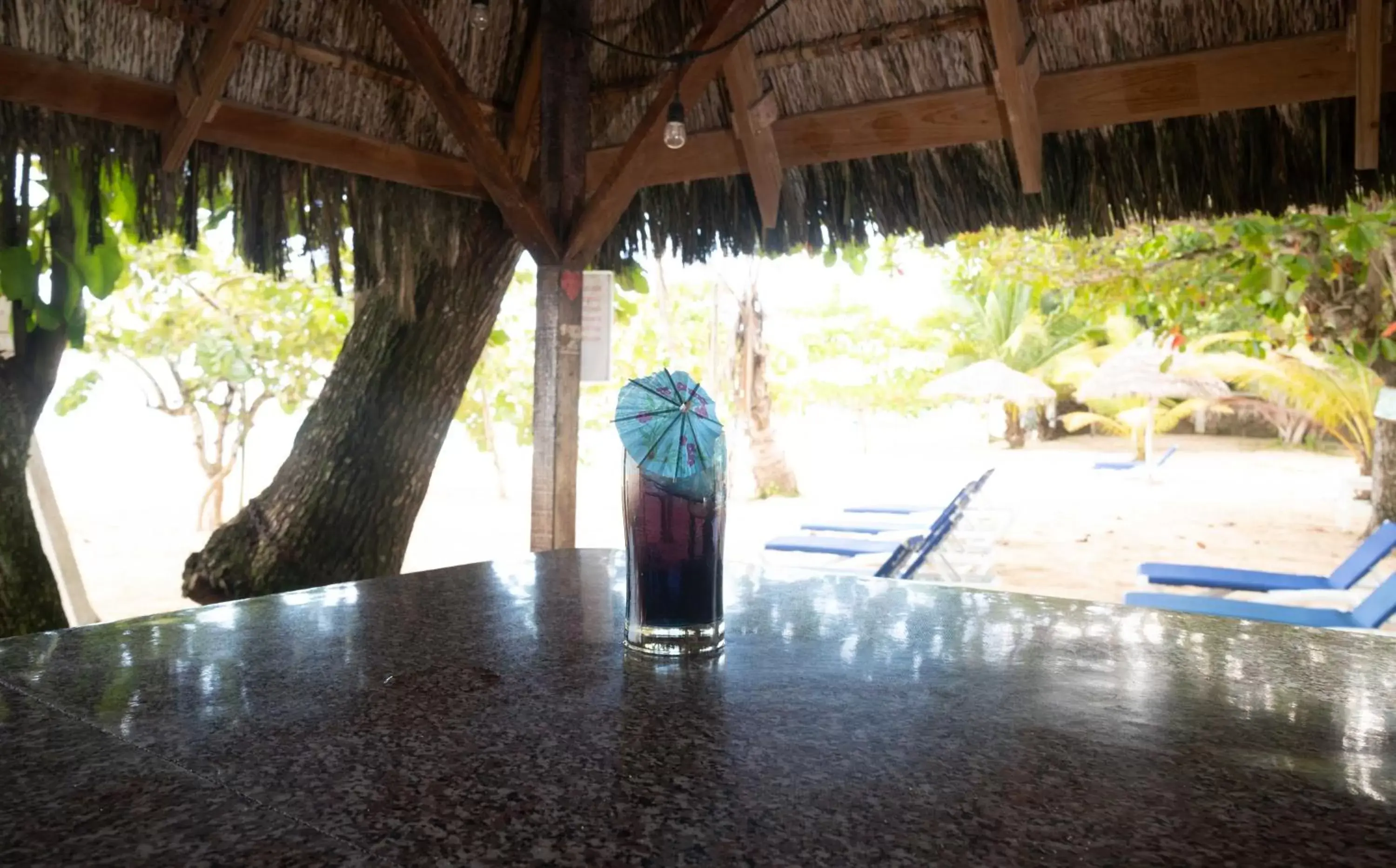 Lounge or bar in Yellow Bird Sea Lounge or bar in Yellow Bird Sea