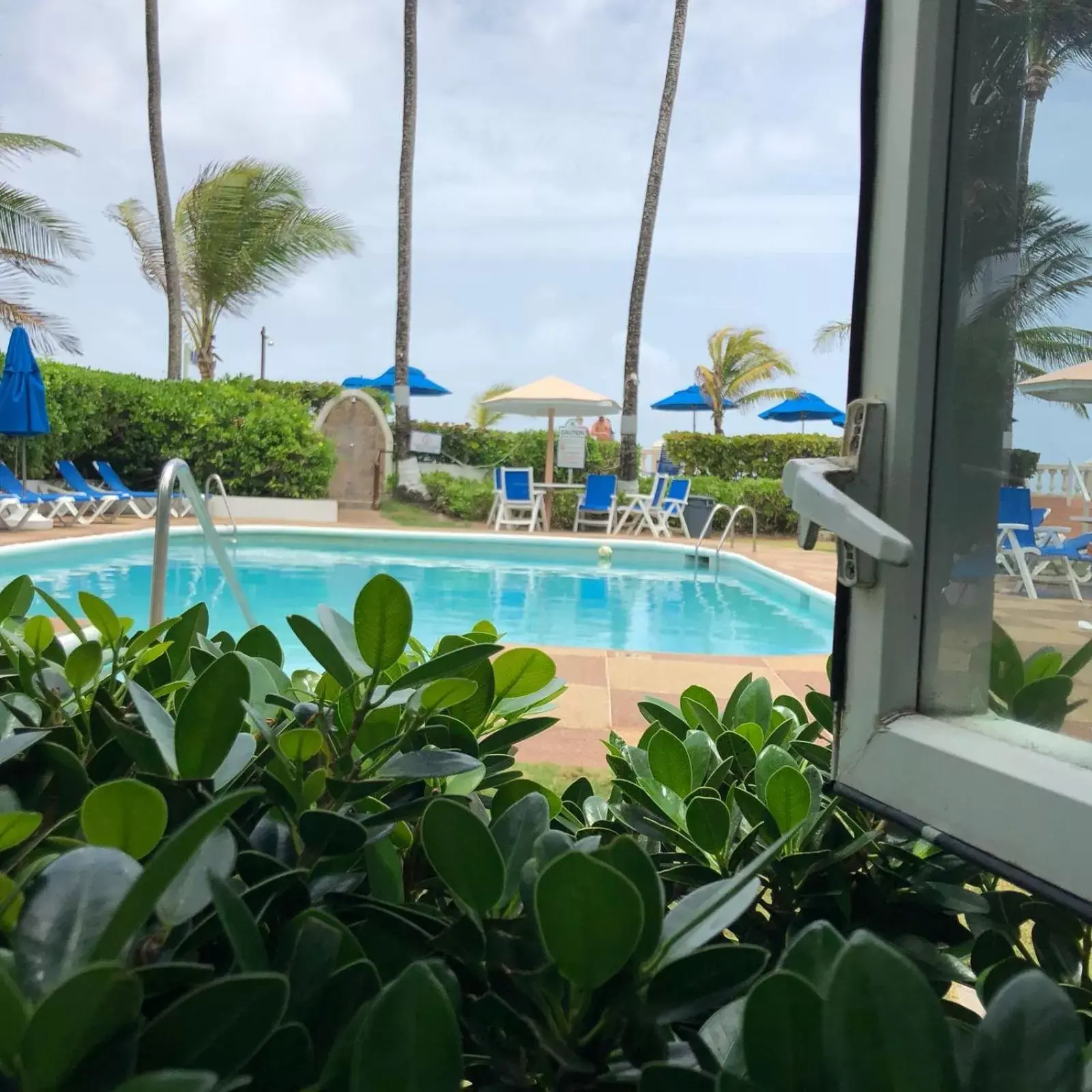 Pool view, Swimming Pool in Dover Beach Hotel