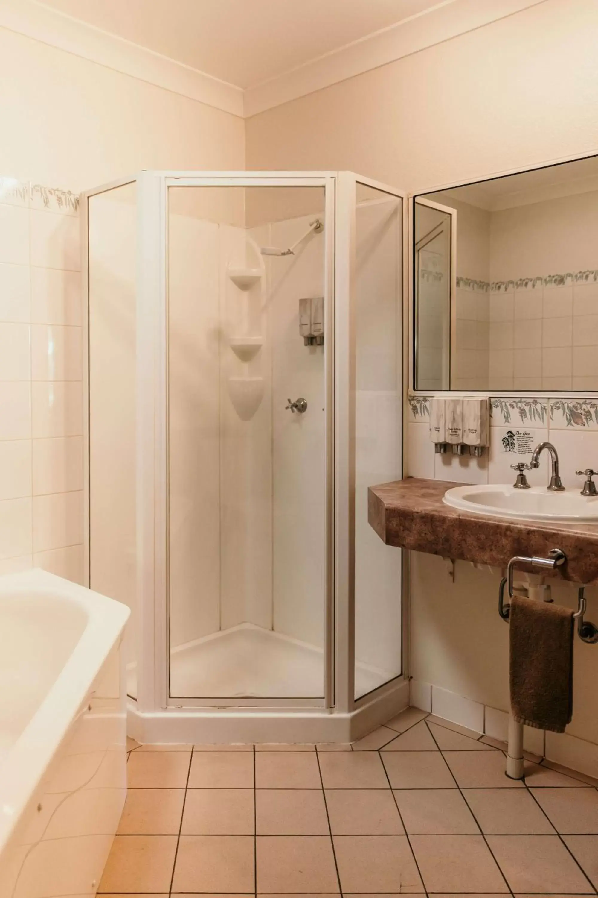 Shower, Bathroom in Outback Motel Mt Isa