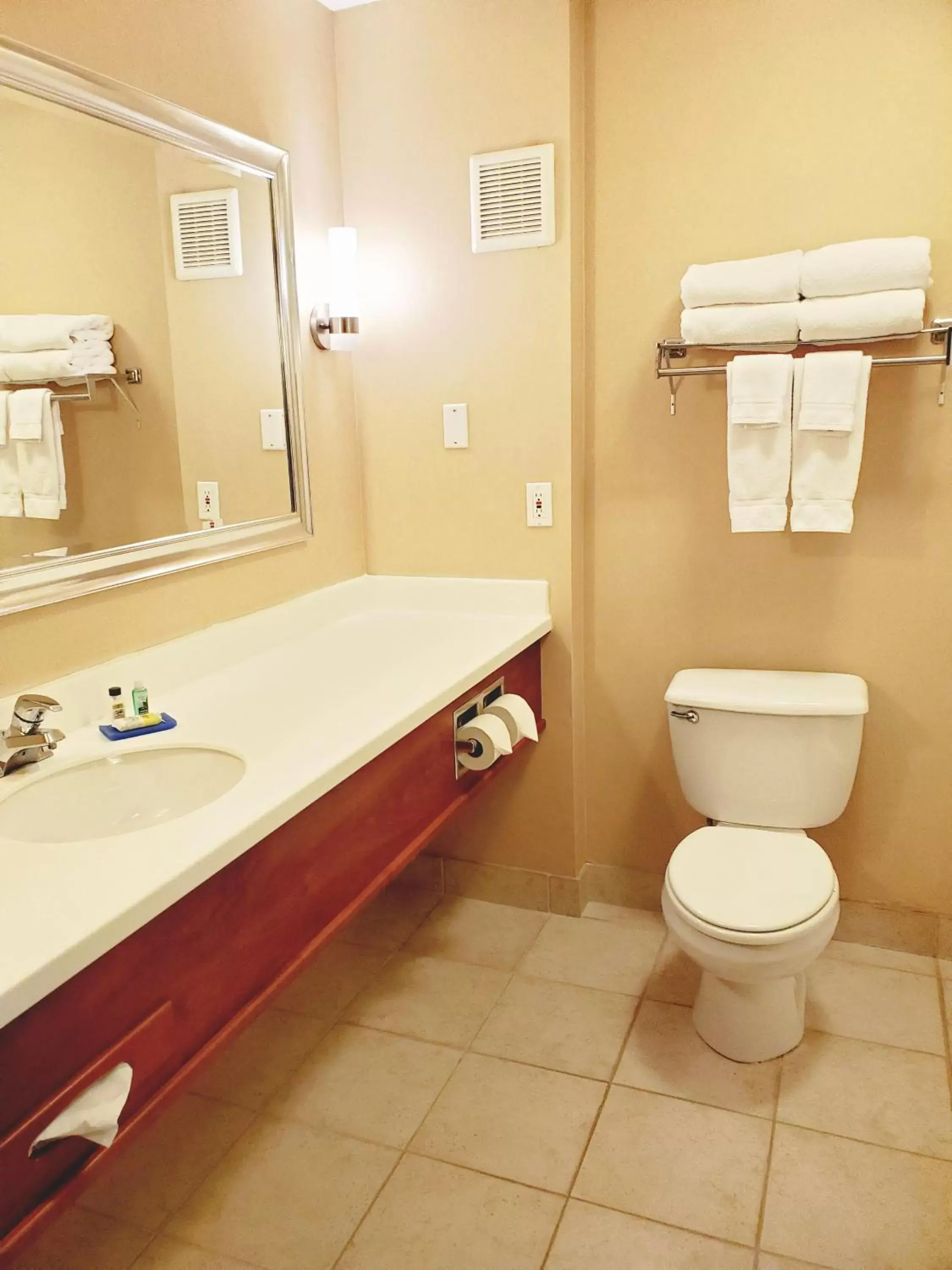 Bathroom in Holiday Inn Express Hotel & Suites Portland-Northwest Downtown, an IHG Hotel