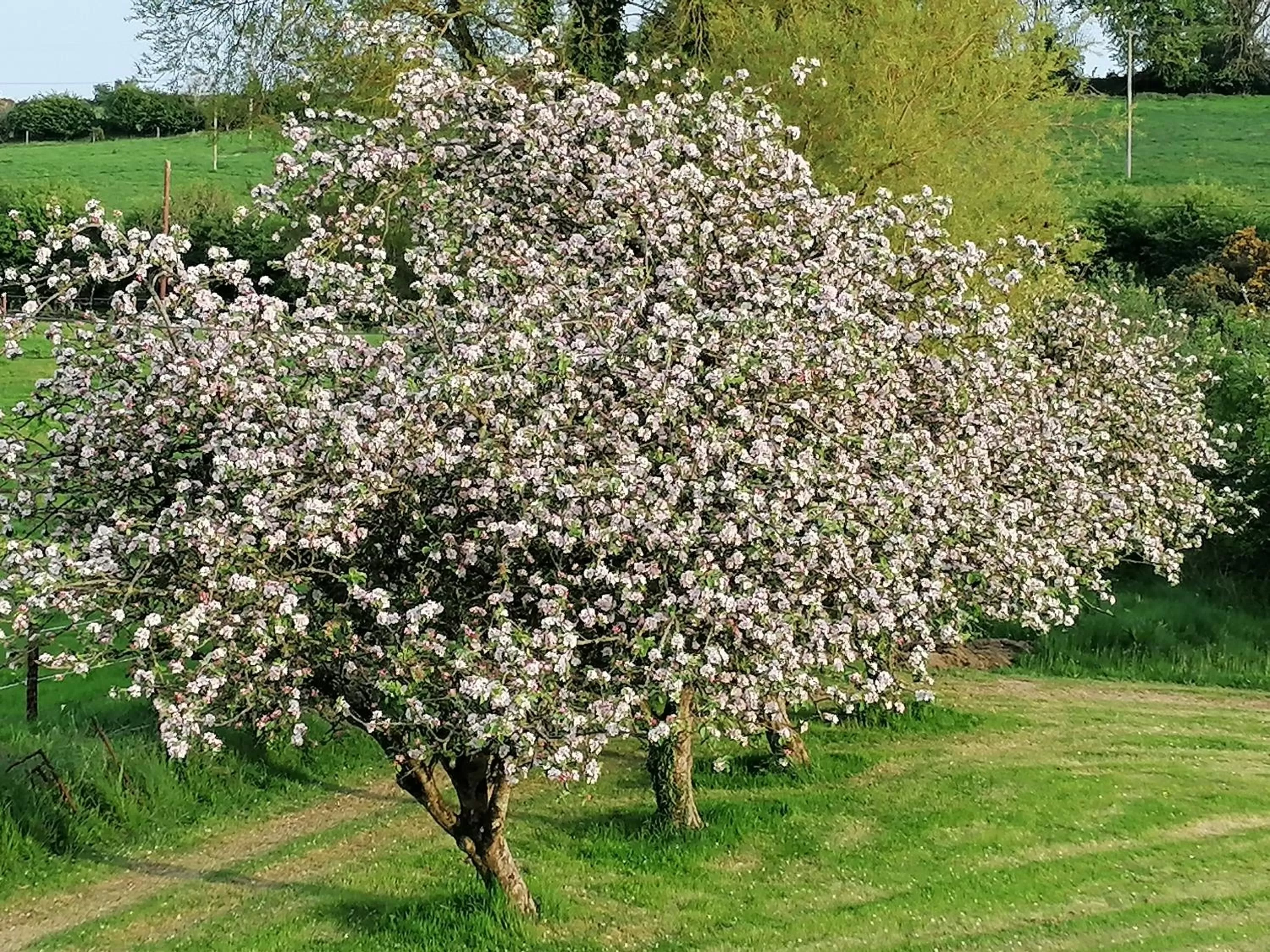 Cable Island Bed and Breakfast