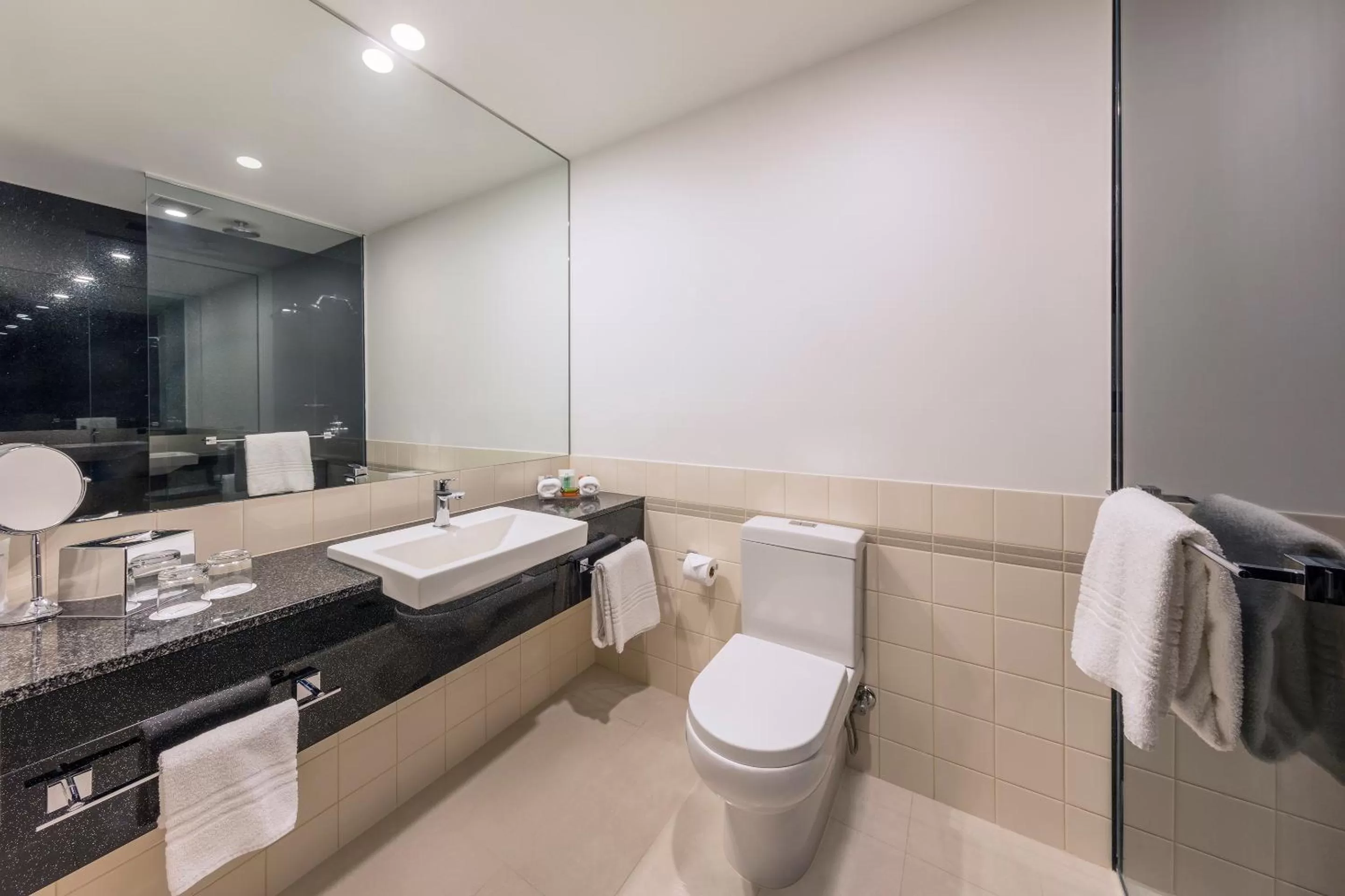Toilet in Flagstaff Gardens Hotel Melbourne