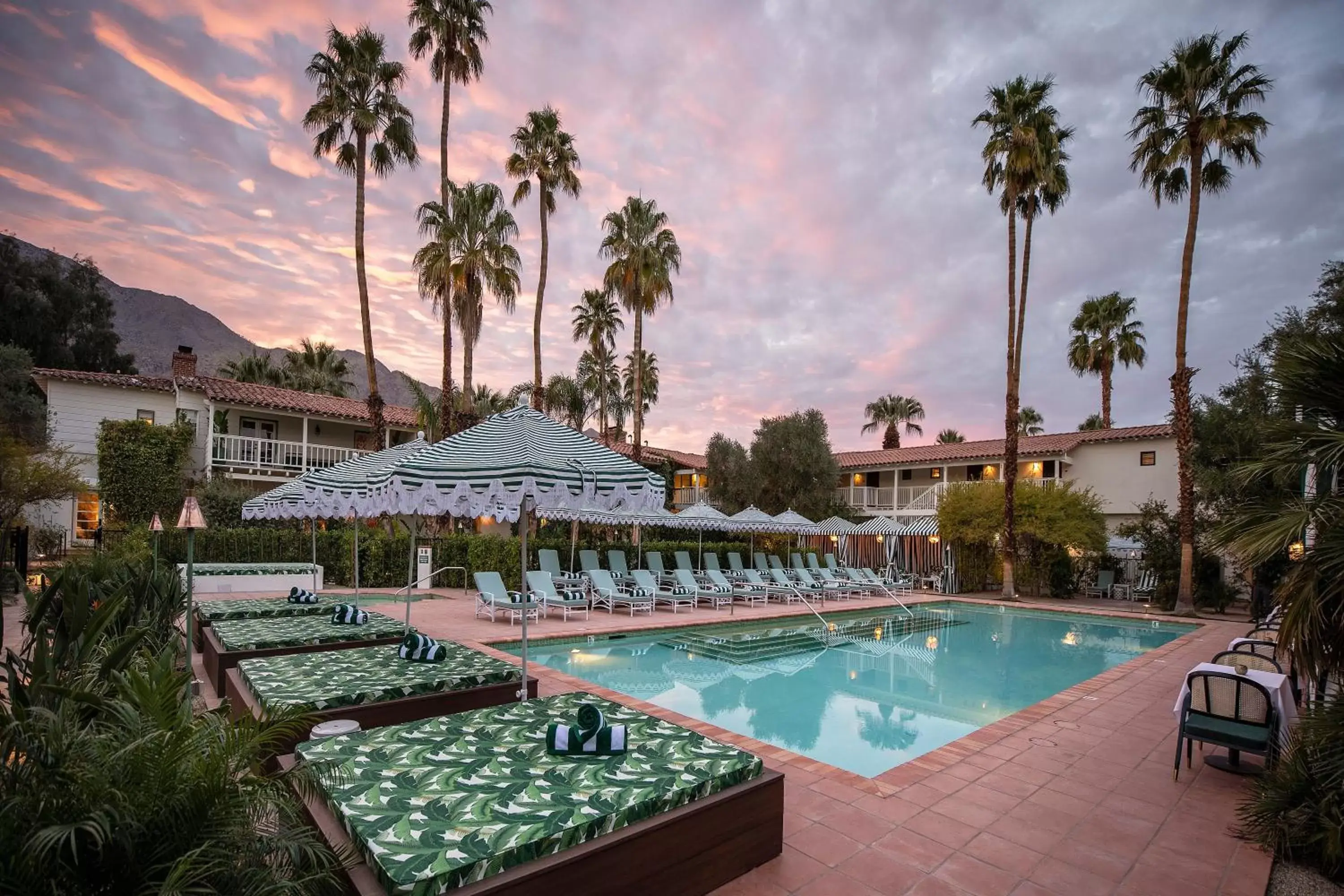 Swimming Pool in The Colony Palms Hotel and Bungalows - Adults Only