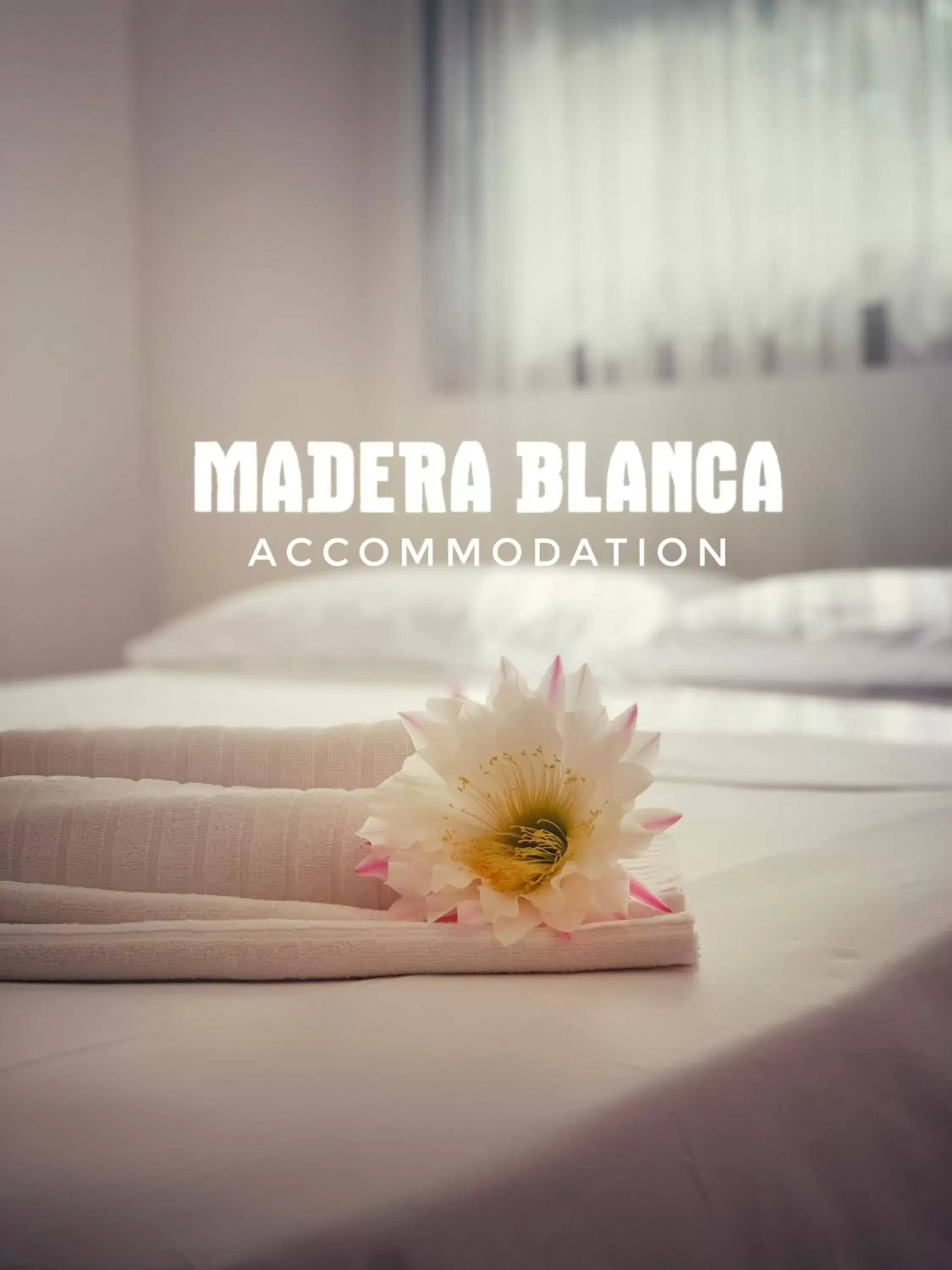 Bed in Madera Blanca