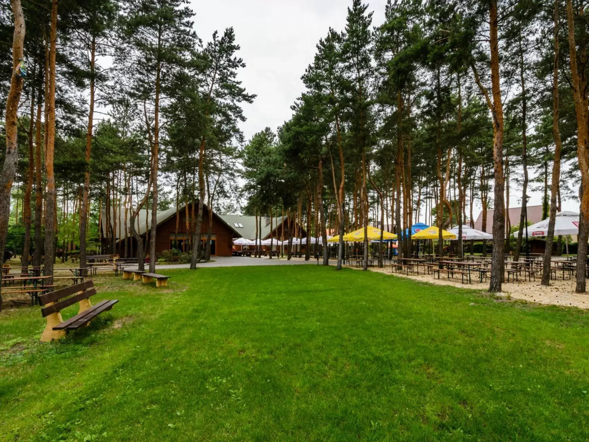 Garden, Property Building in Hotel Boss