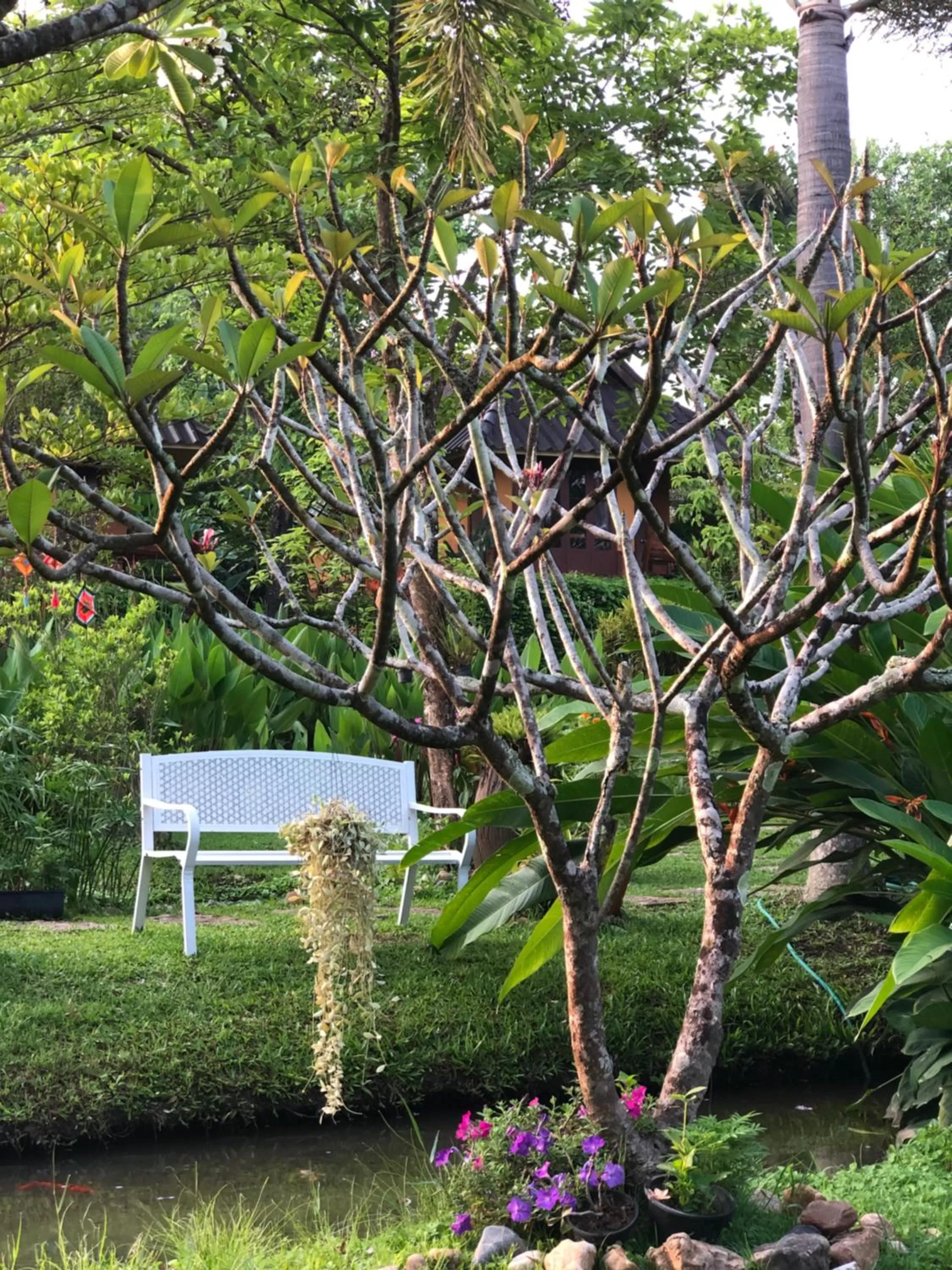 Seating area in Pura Vida Pai Resort