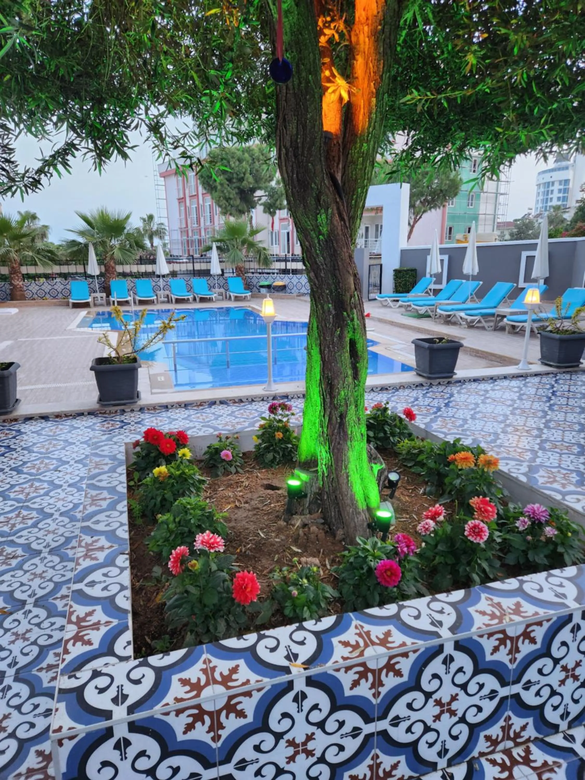 Patio in Esperanza Hotel