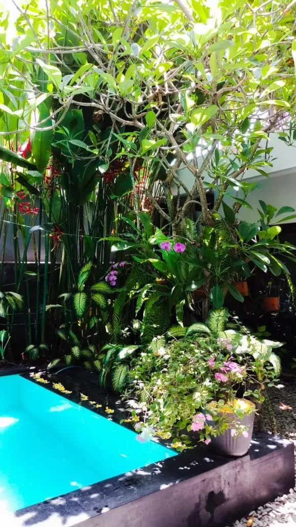 Garden in The Pavilion Hotel Kuta