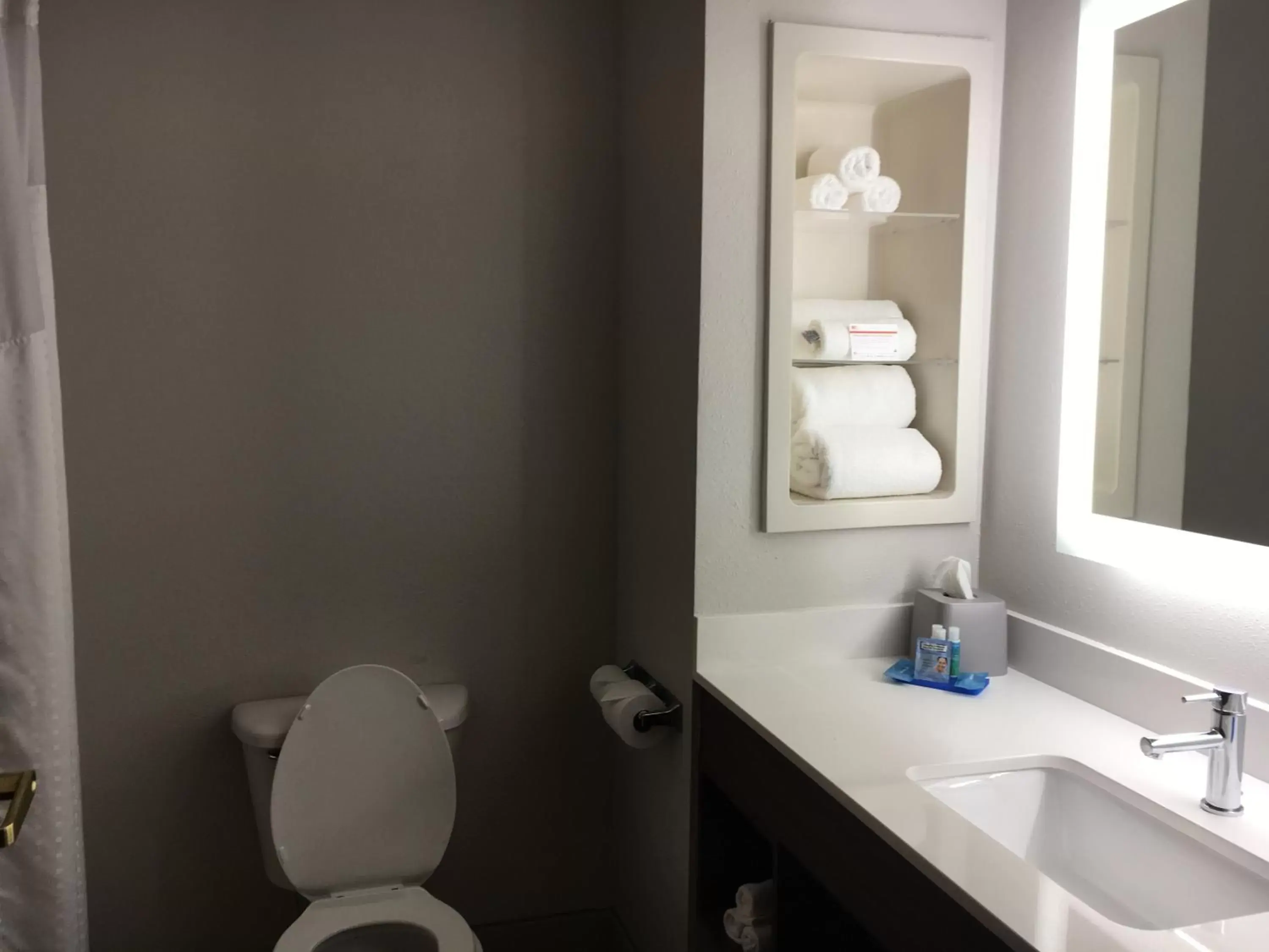 Bathroom in Holiday Inn Express and Suites Thomasville, an IHG Hotel