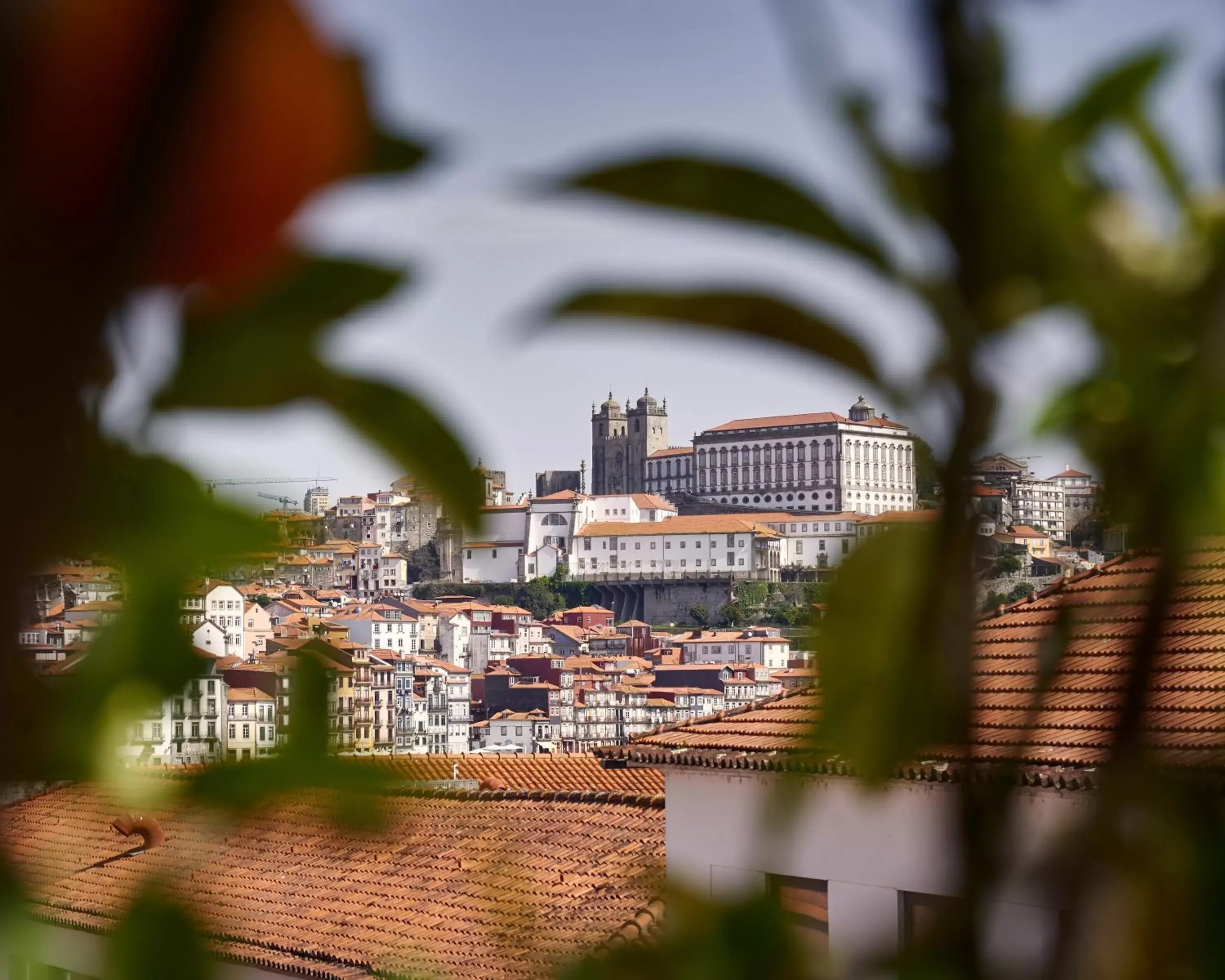 View (from property/room) in The Lodge Porto Hotel