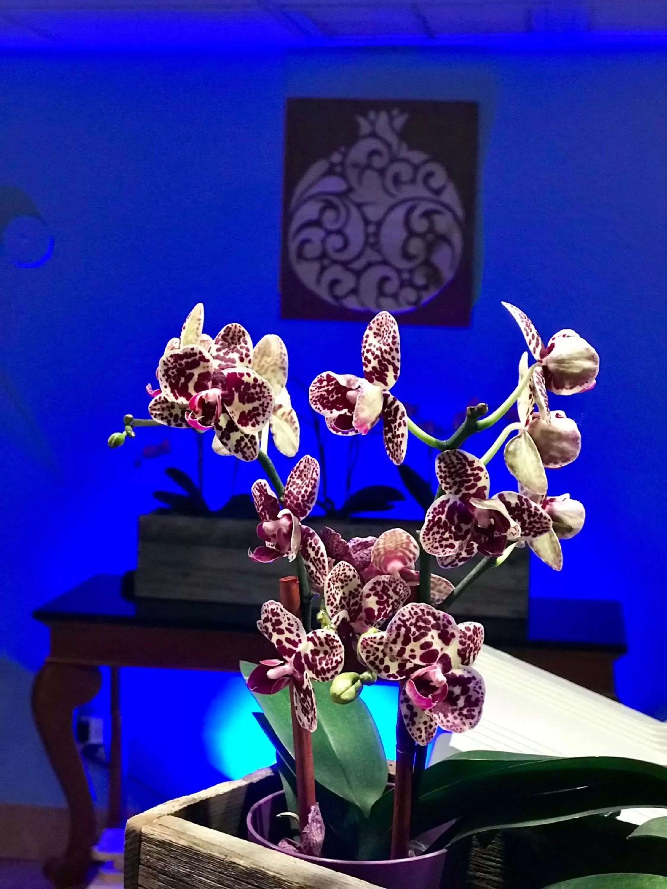 Lobby or reception in The Noor Hotel Lobby or reception in The Noor Hotel