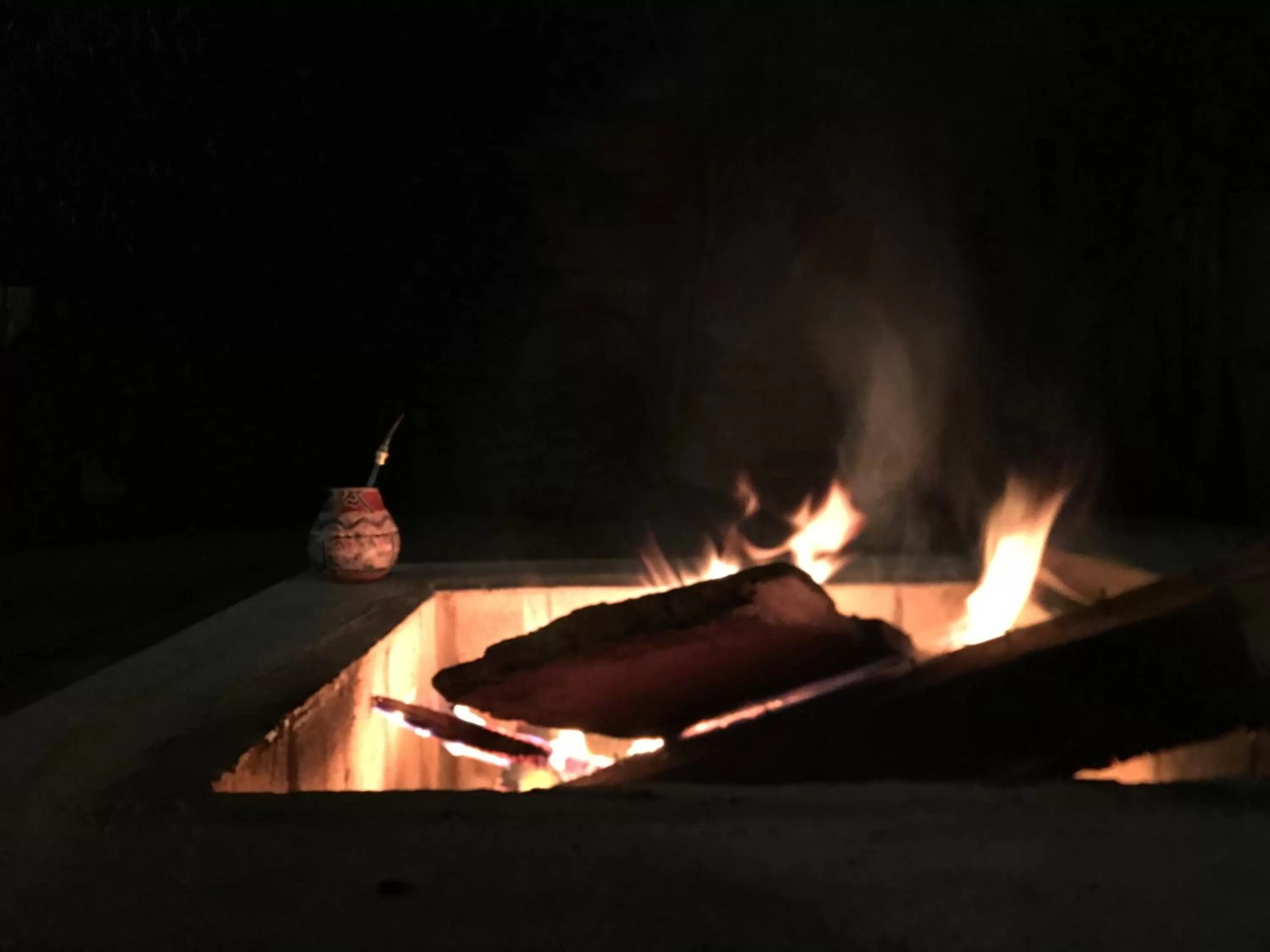 Garden in Hostal Boutique Puerta Roja