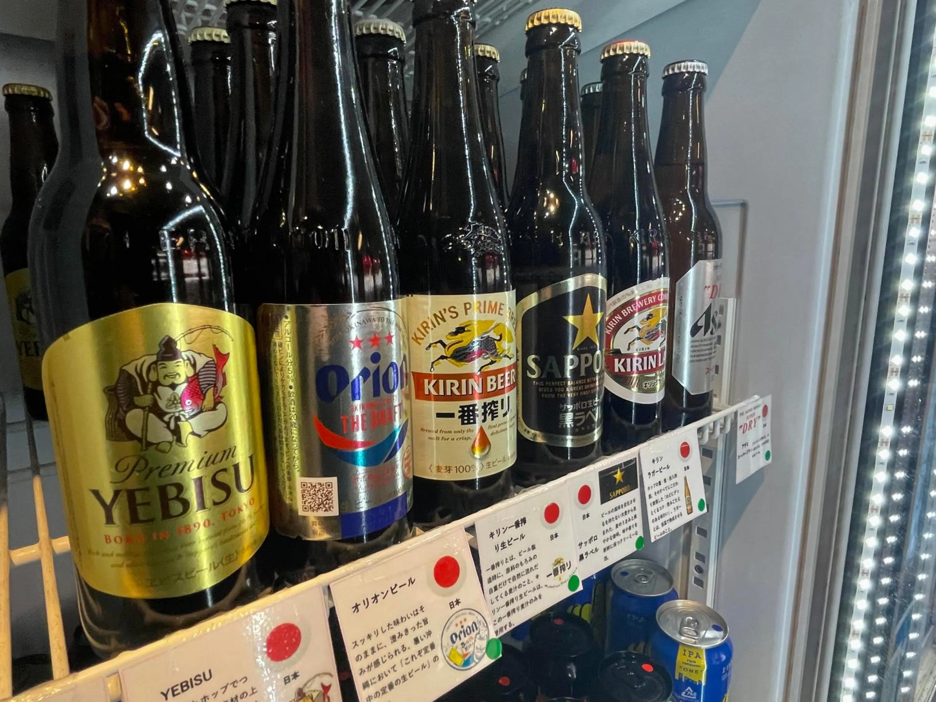 Lounge or bar in Sakura Hostel Asakusa