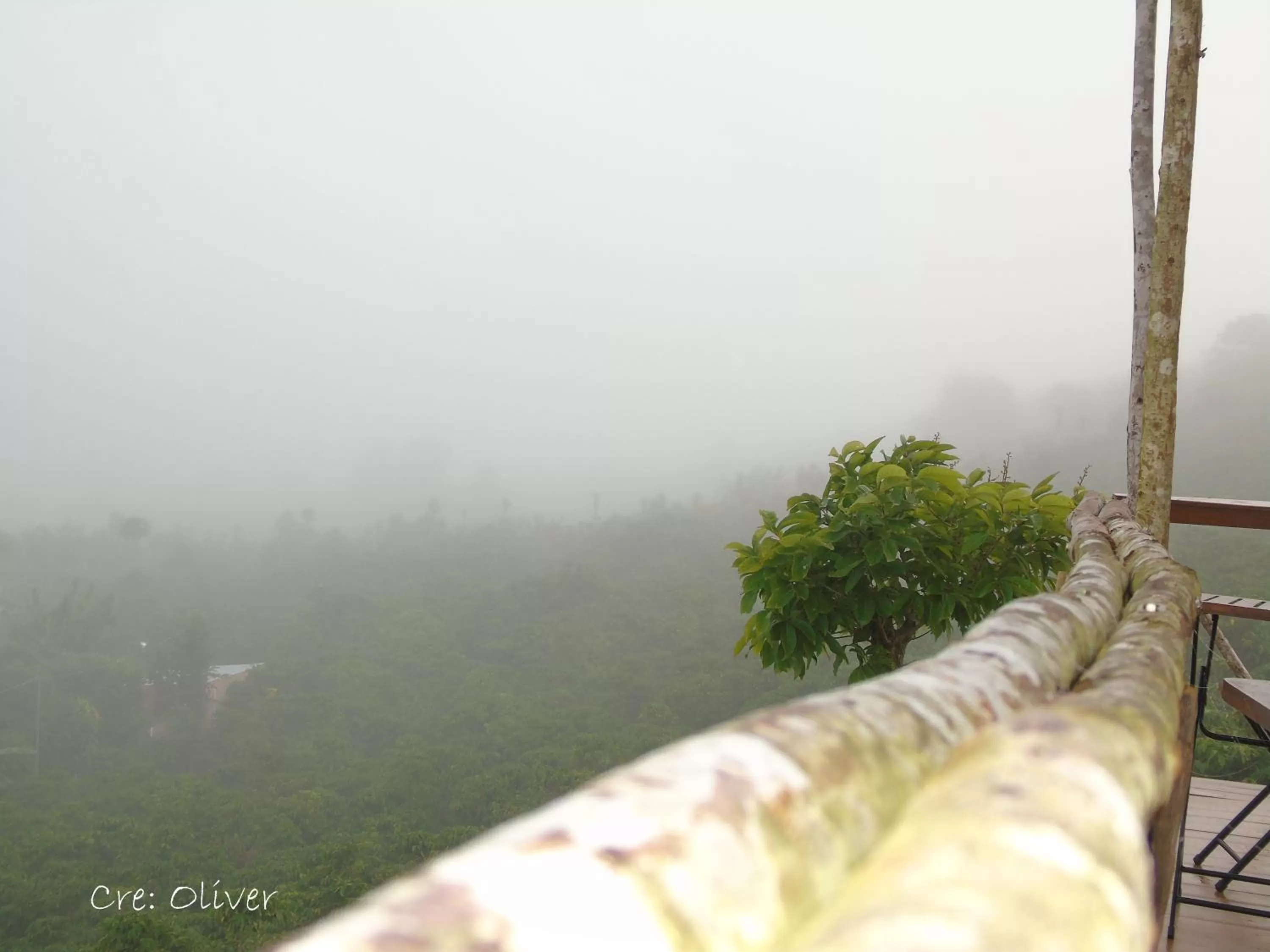 Natural landscape in Mùa Tím Villa