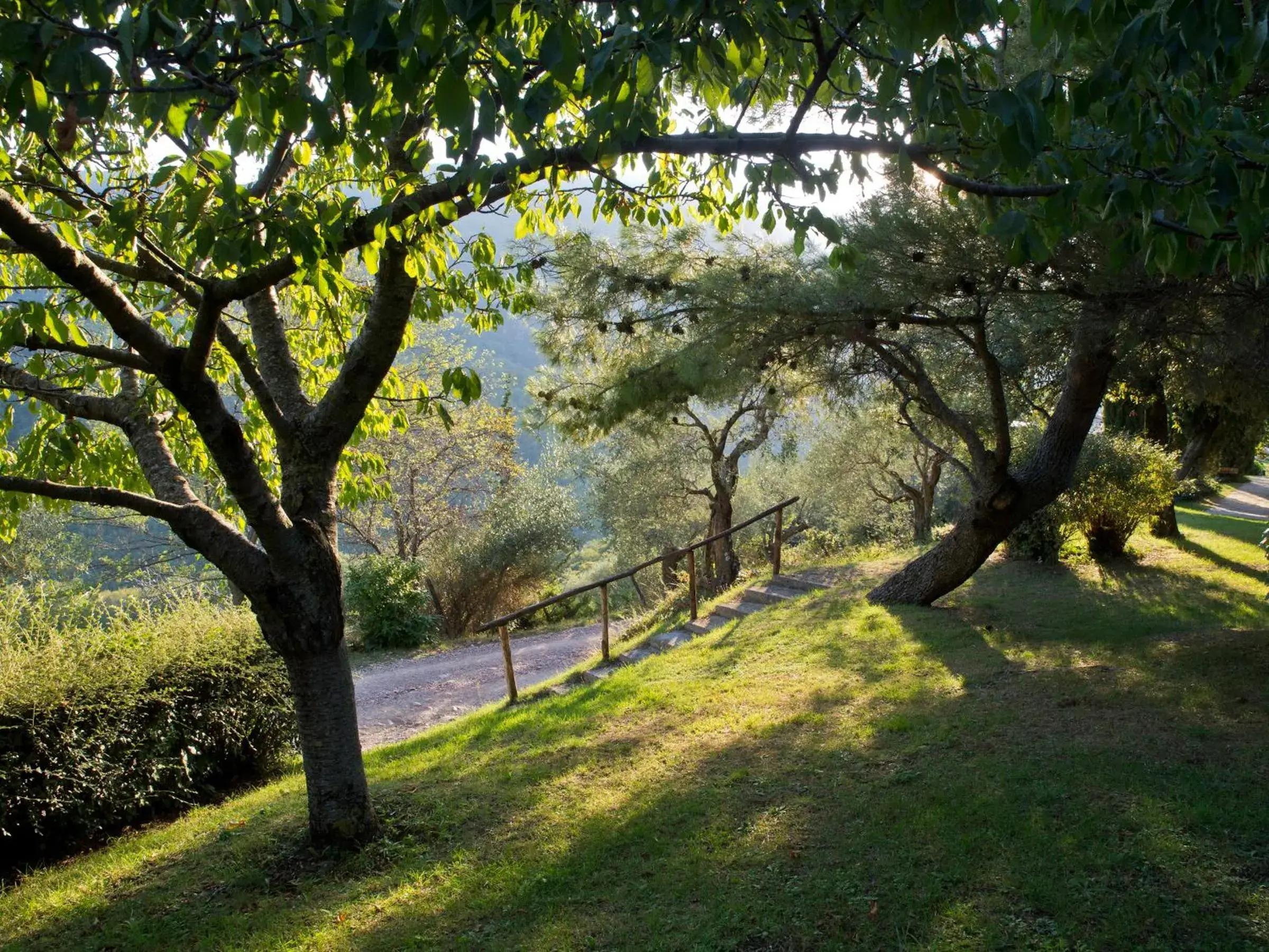 Garden view, Garden in Le Silve di Armenzano