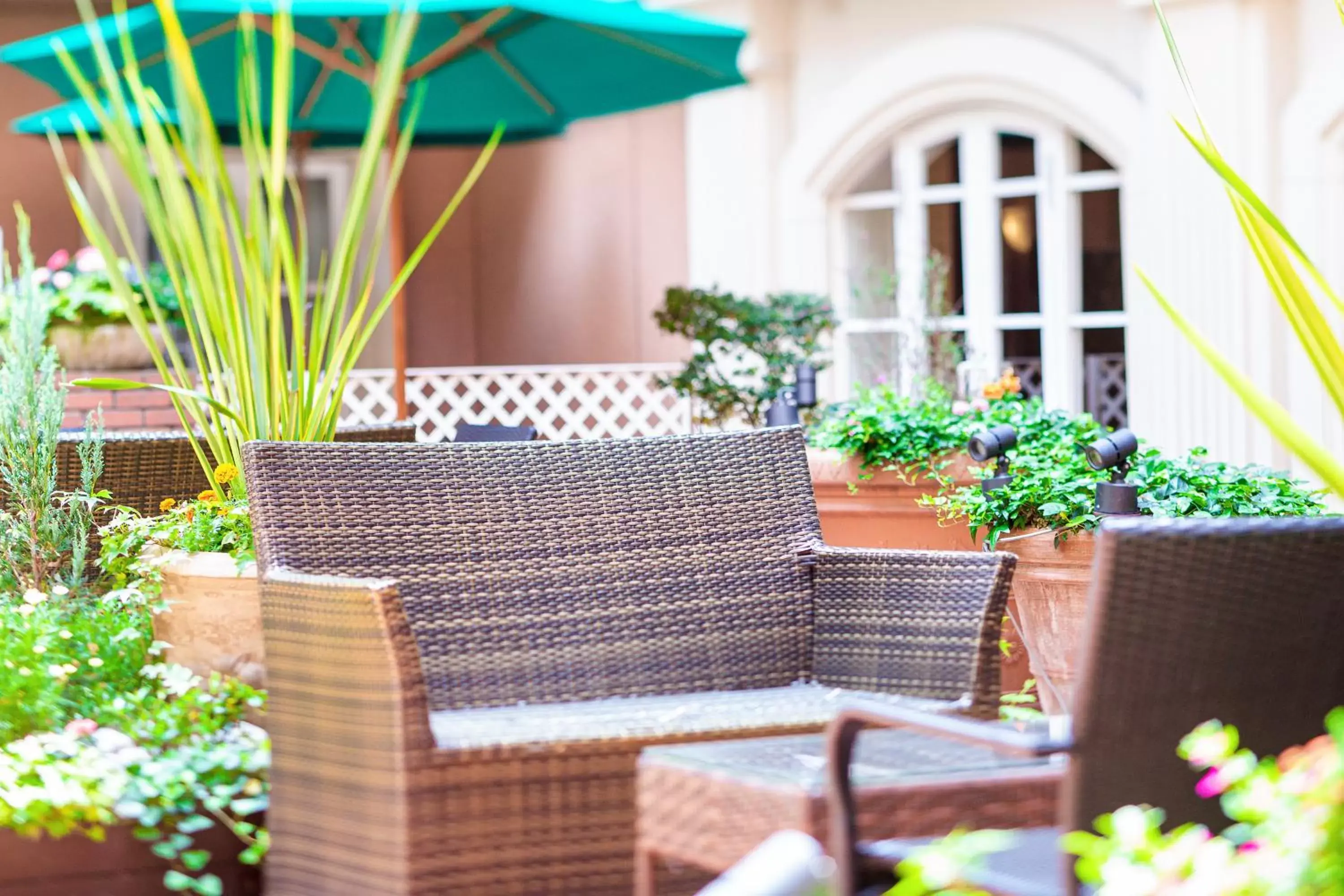 Patio, Patio/Outdoor Area in Namba Oriental Hotel