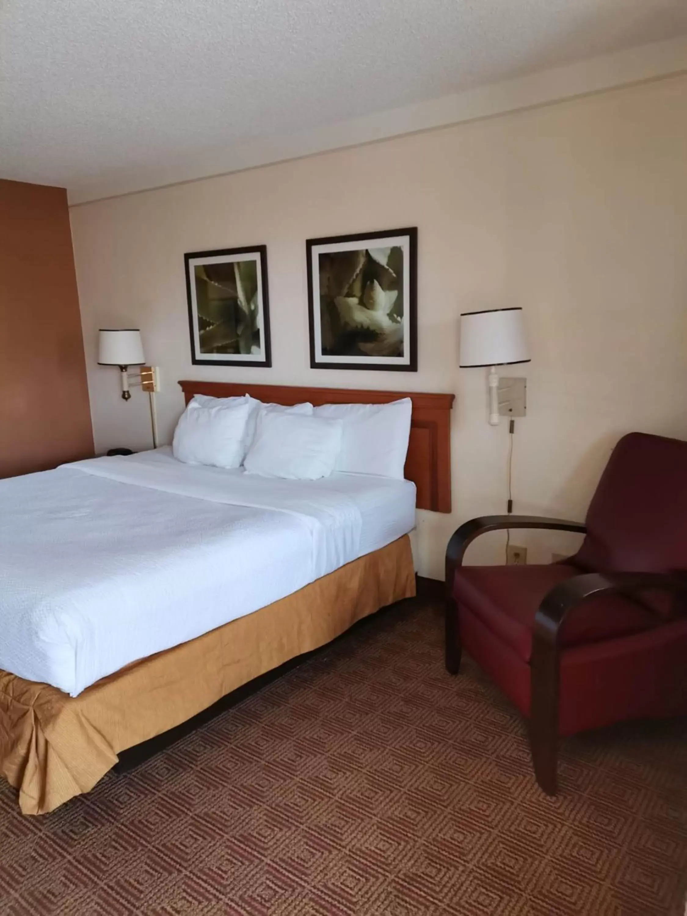 Bed in Super 8 by Wyndham San Antonio Near SeaWorld Ingram Park